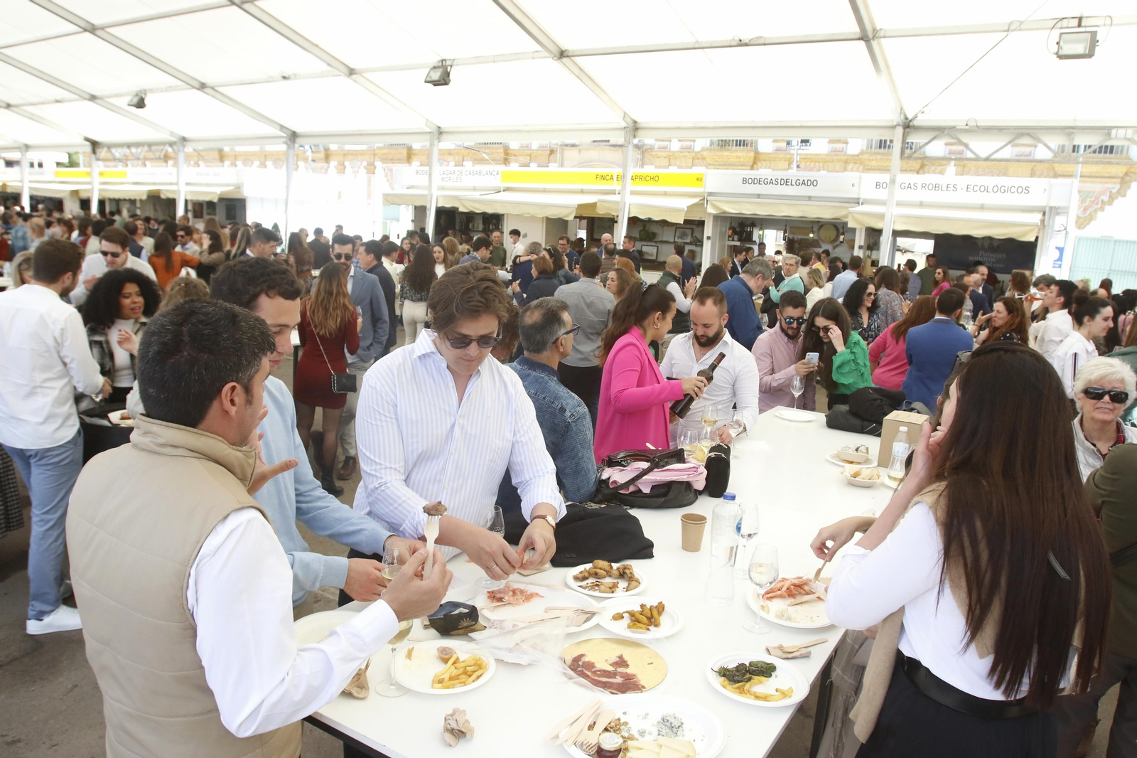 El último día de la Cata del Vino de Córdoba, en imágenes