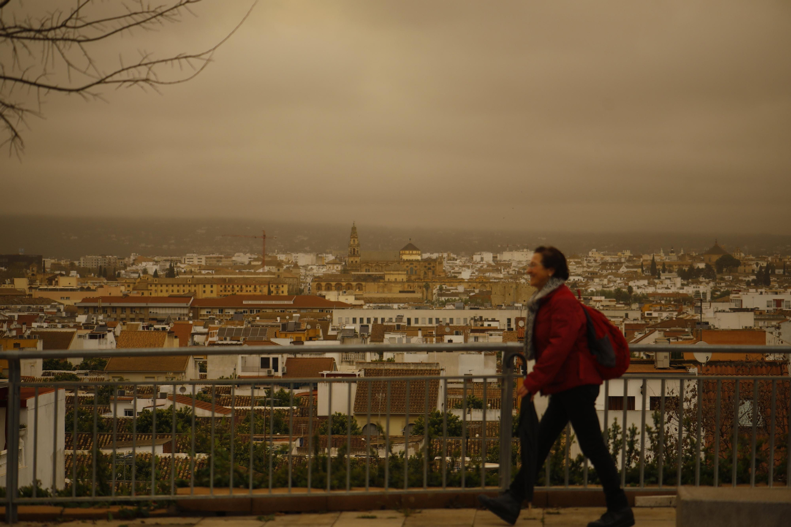 La calima llega a Córdoba, en imágenes