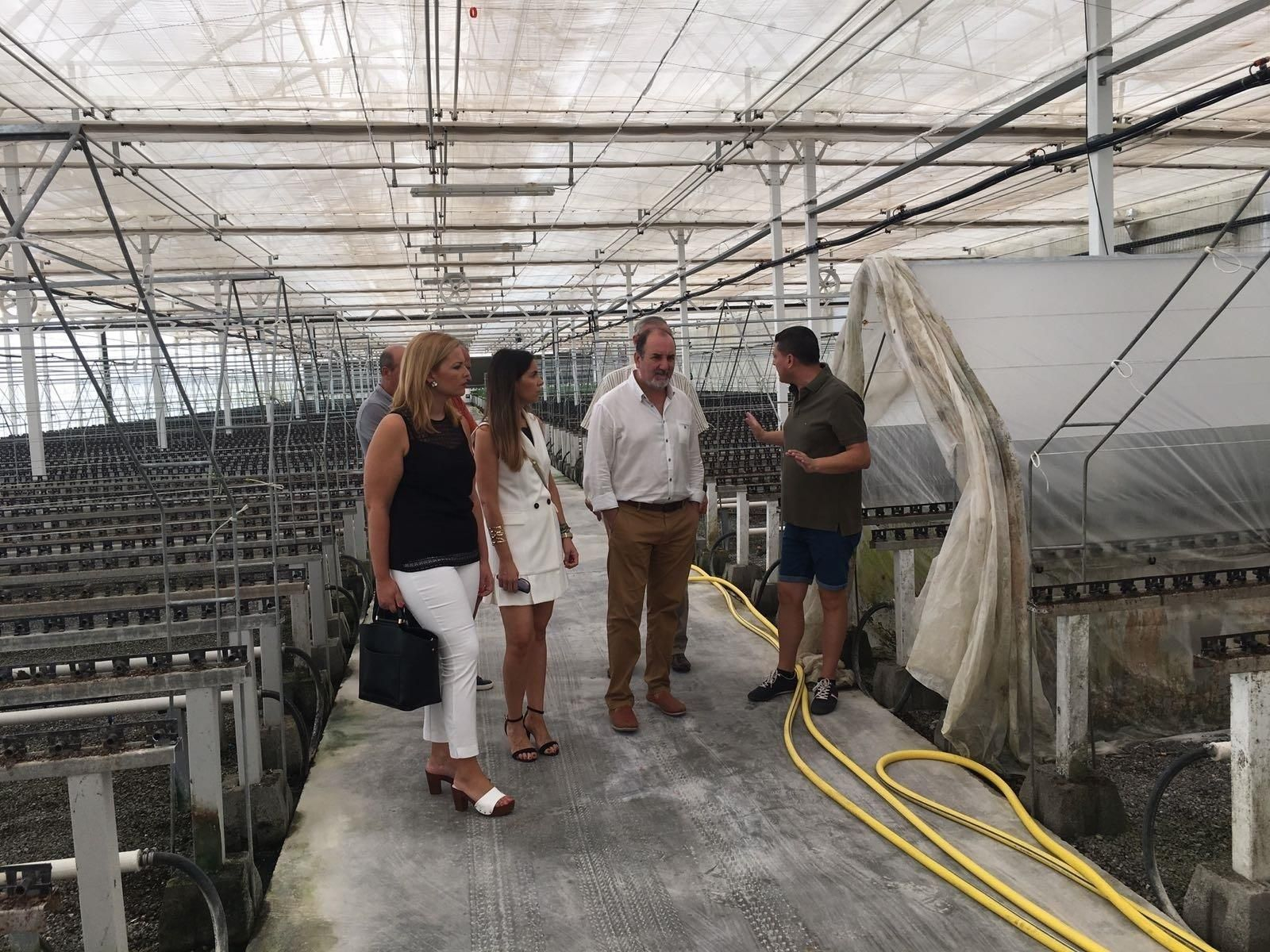 Visita del delegado a la empresa.