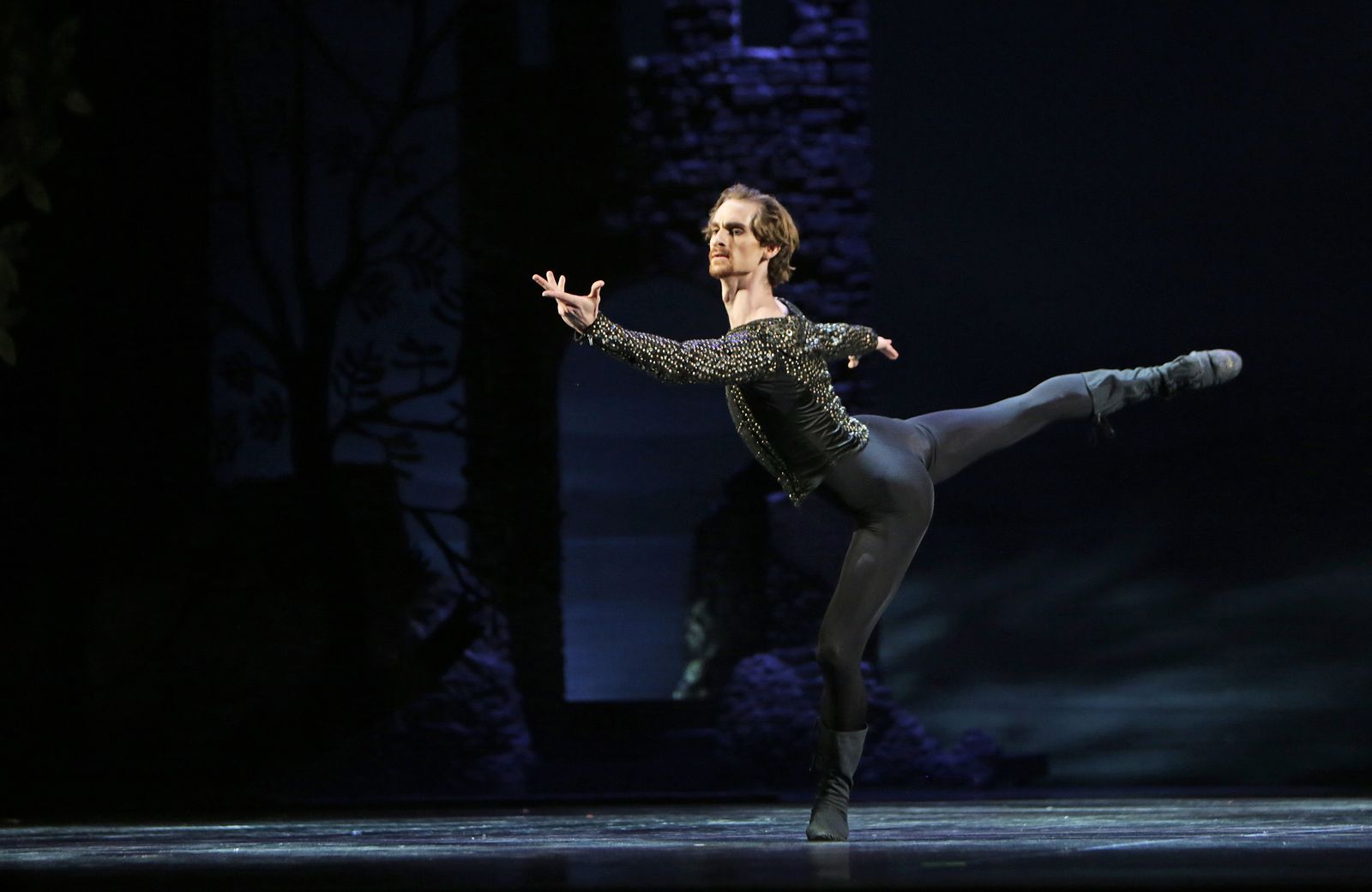 EL LAGO DE LOS CISNES