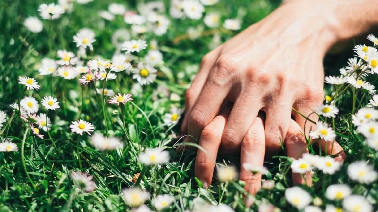 Deseo sexual y primavera están íntimamente relacionados.