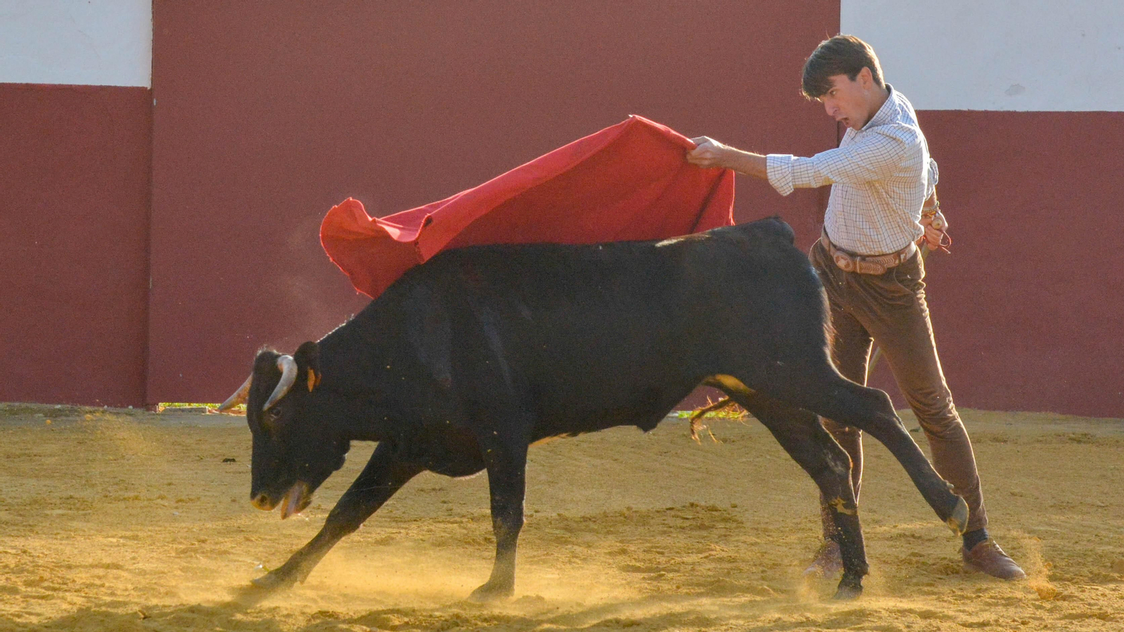 Tentadero con Talavante en la finca La Palmosilla, en Tarifa