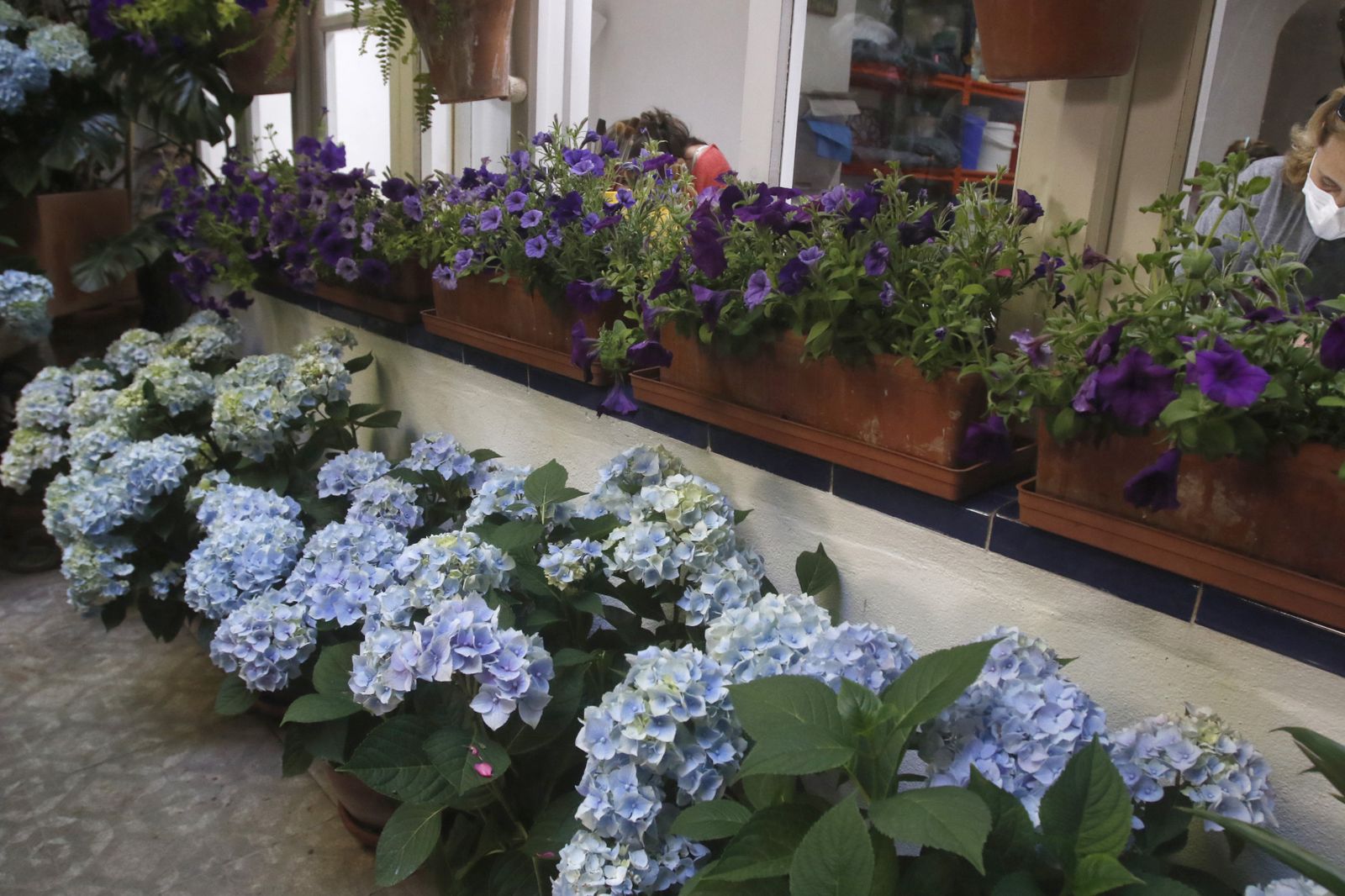 Ruta Judería - San Francisco de los Patios de Córdoba, en imágenes