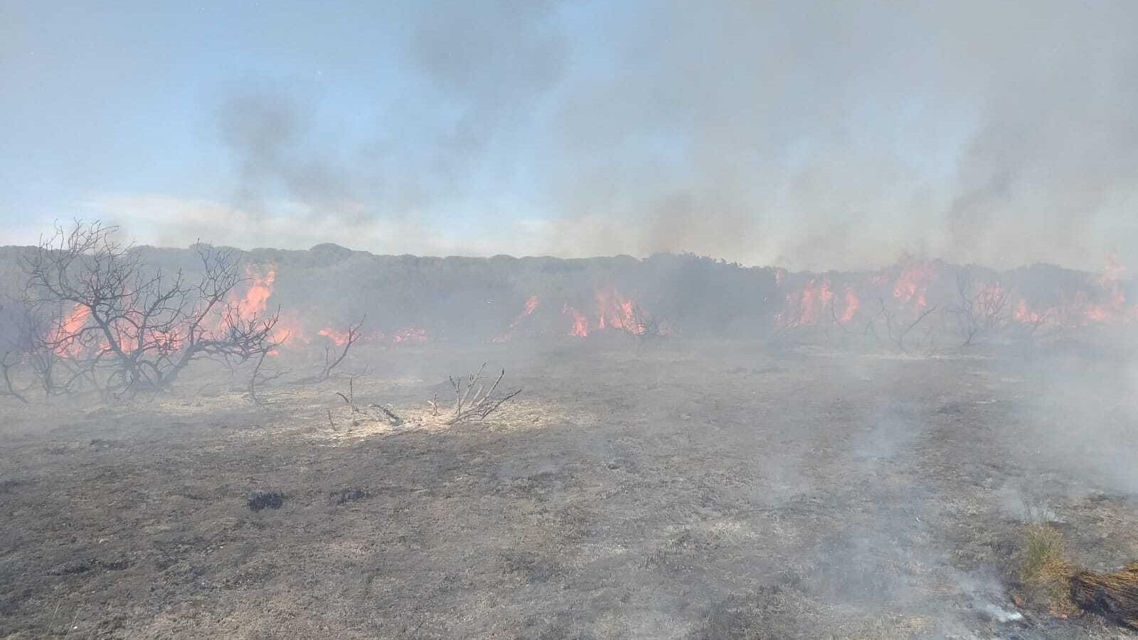 Imagen del incendio forestal declarado en el Pinar de la Algaida, en Sanlúcar.