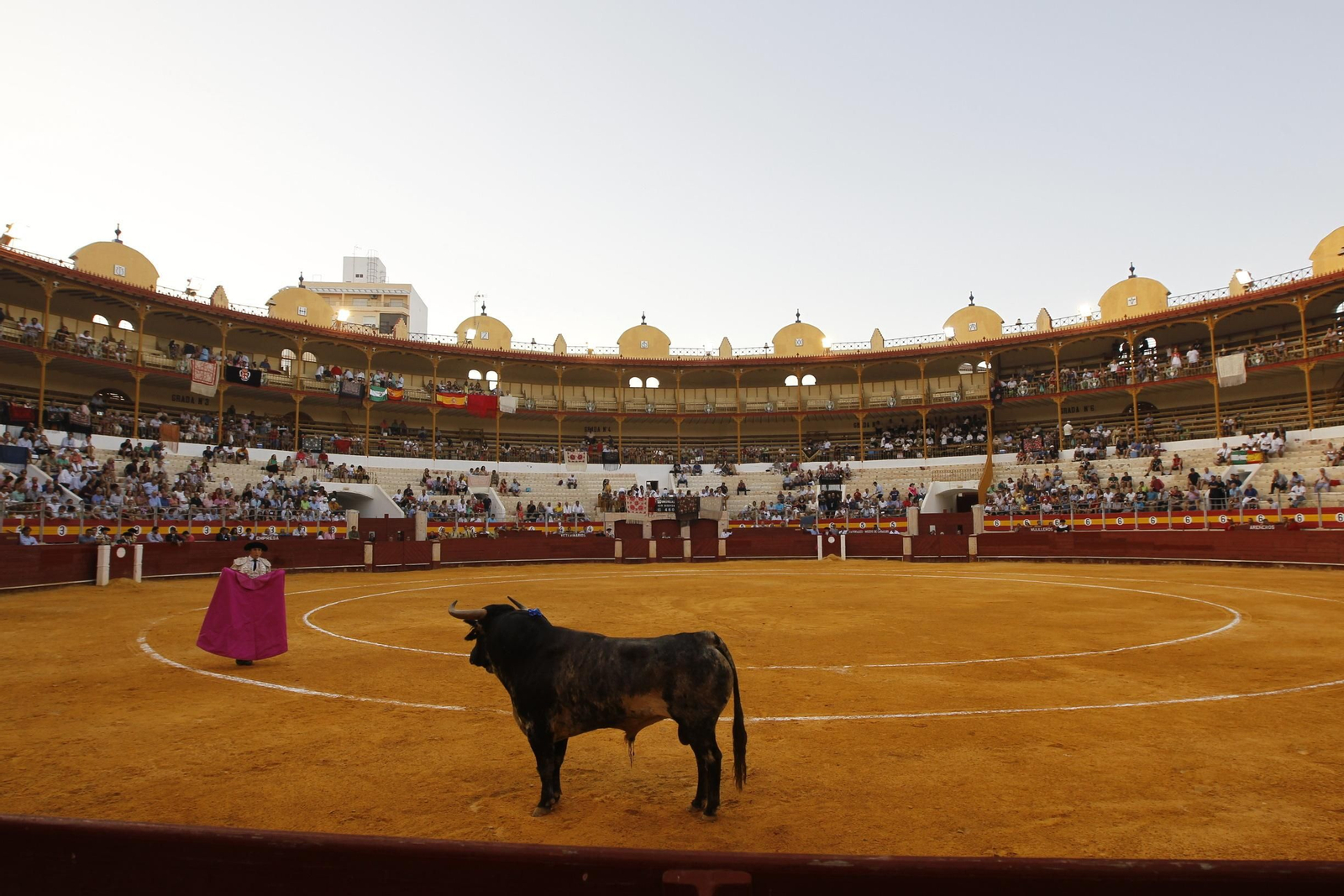 Fotogalería Primera Corrida de Toros. Feria de Almería 2019