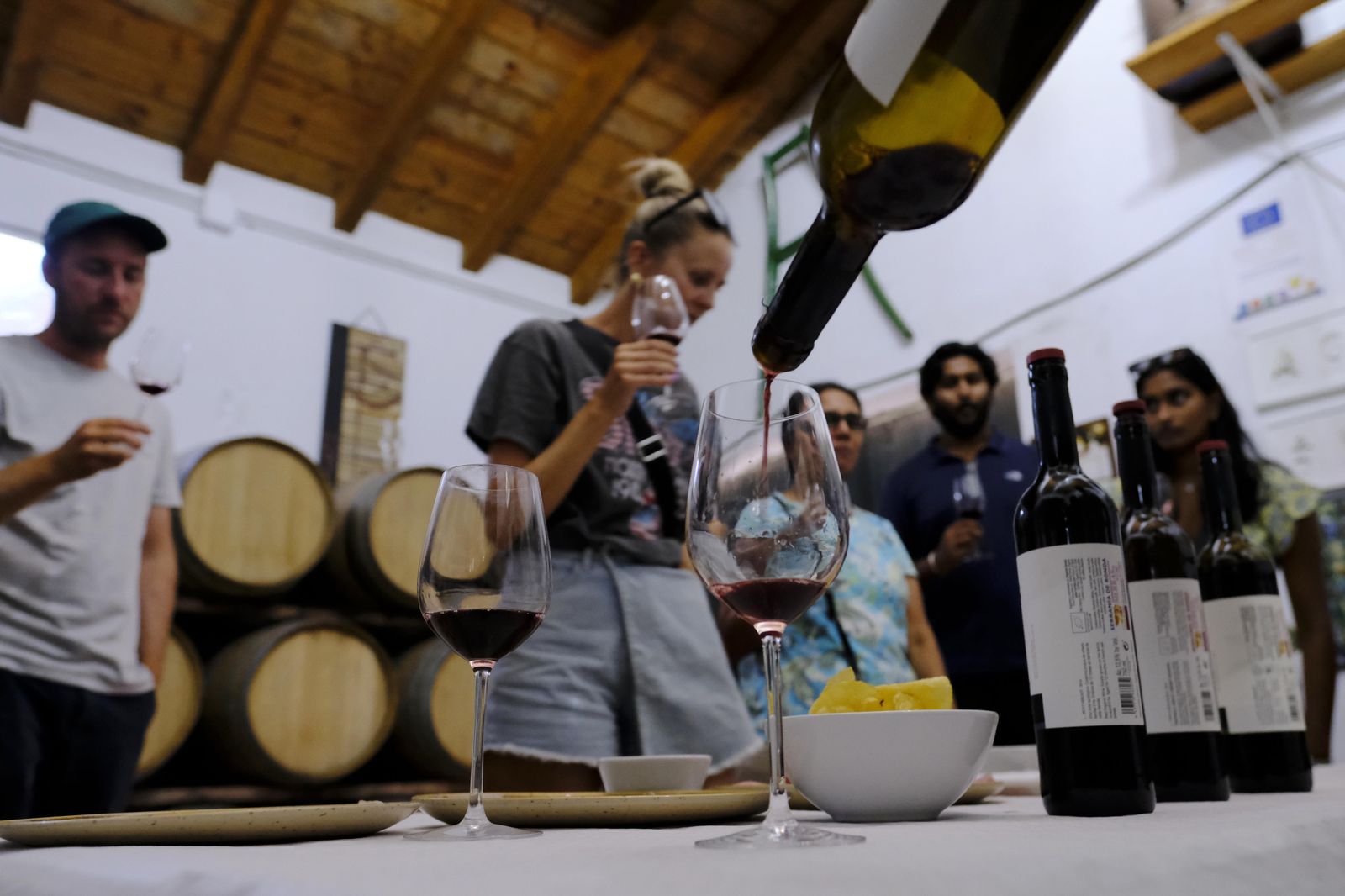 Vendimia en la Serranía de Ronda, en fotos