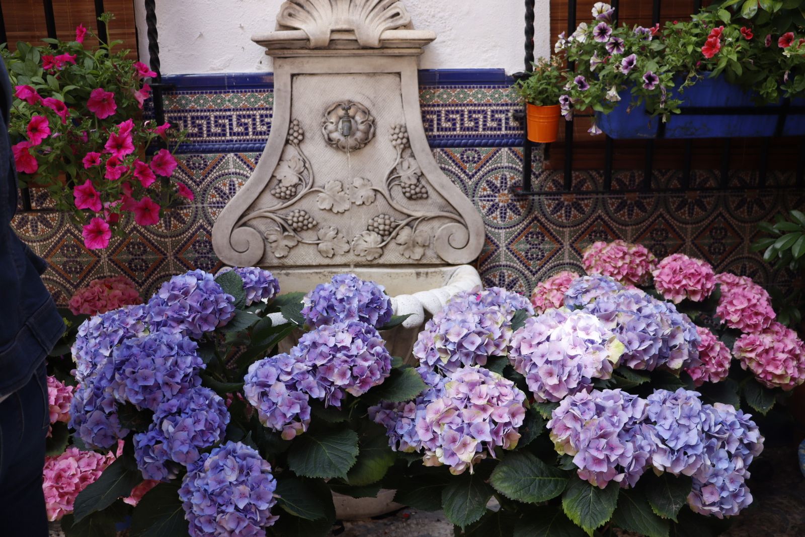 Ruta de los patios de San Lorenzo