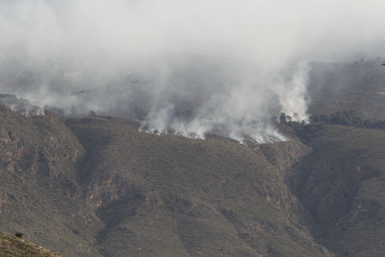 Fotogalería incendio forestal de Castala, Berja y Dalías.