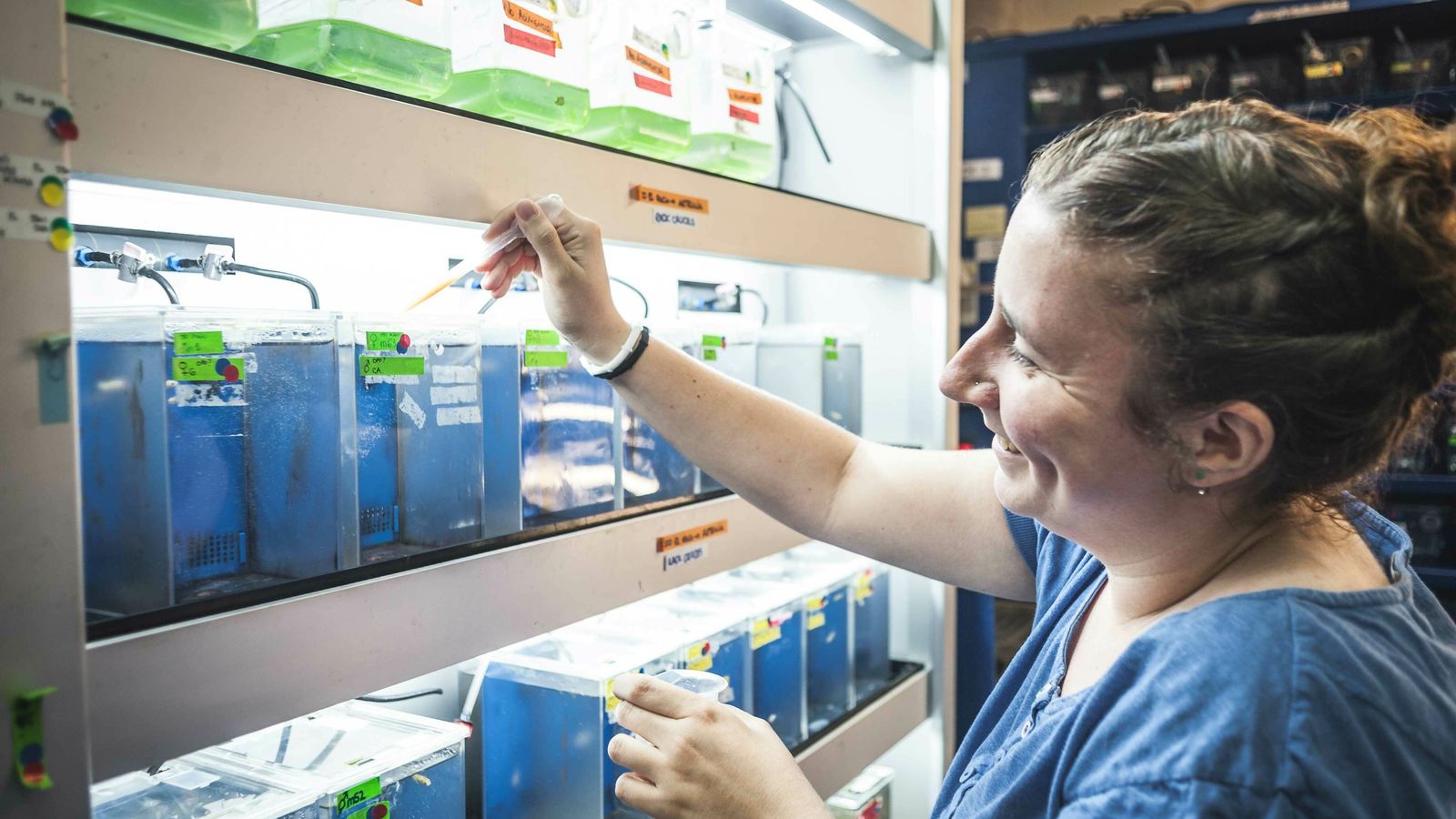 Los títulos propios están orientados a crear profesionales adaptados a la demanda del mercado laboral.