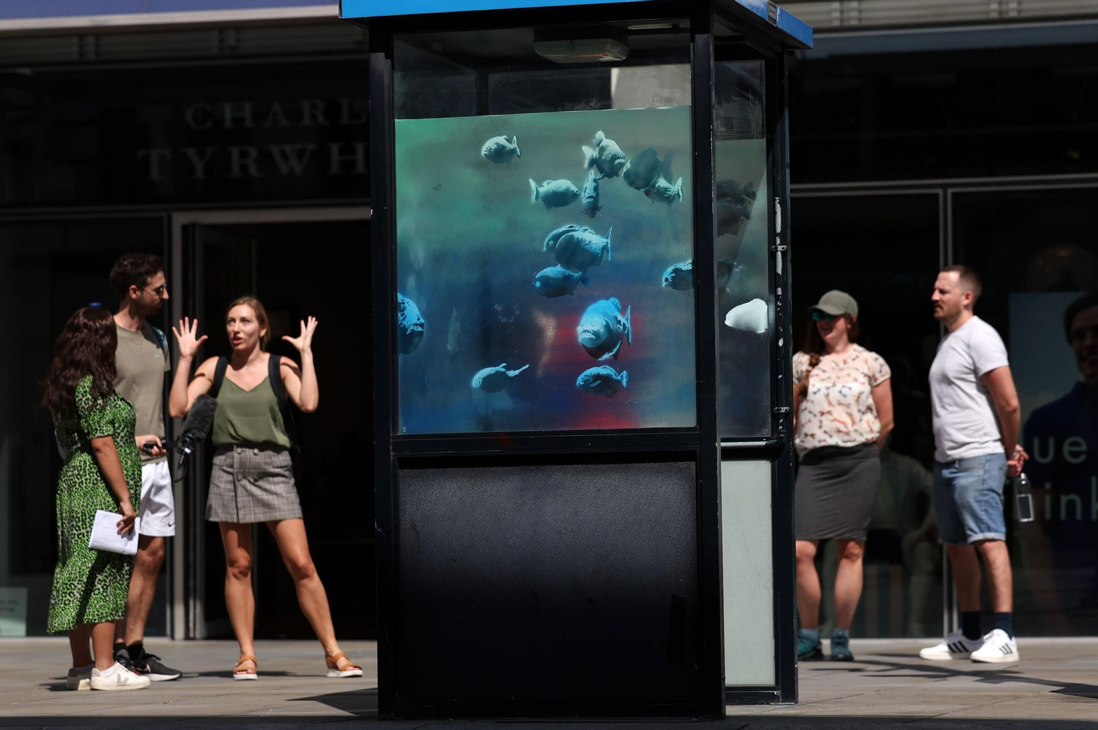 La serie animal del artista Banksy, al completo