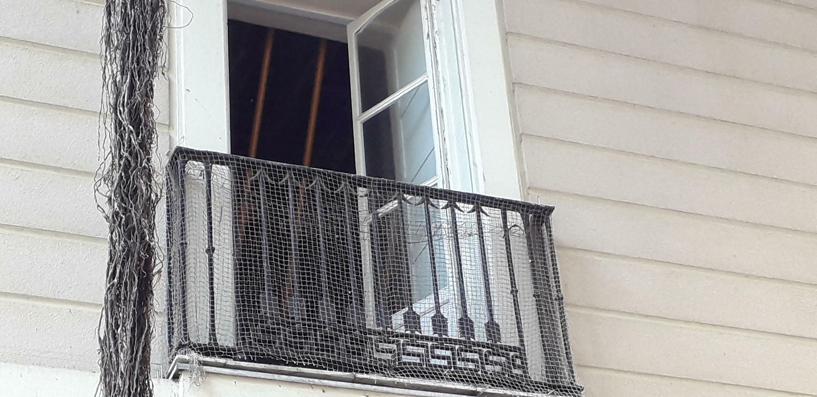 Puntales, vistos desde uno de los balcones de la fachada del edificio a la Plaza de Mina.