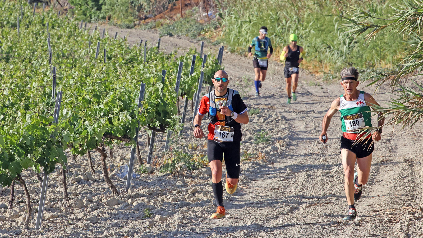 VI Sherry Maratón Jerez