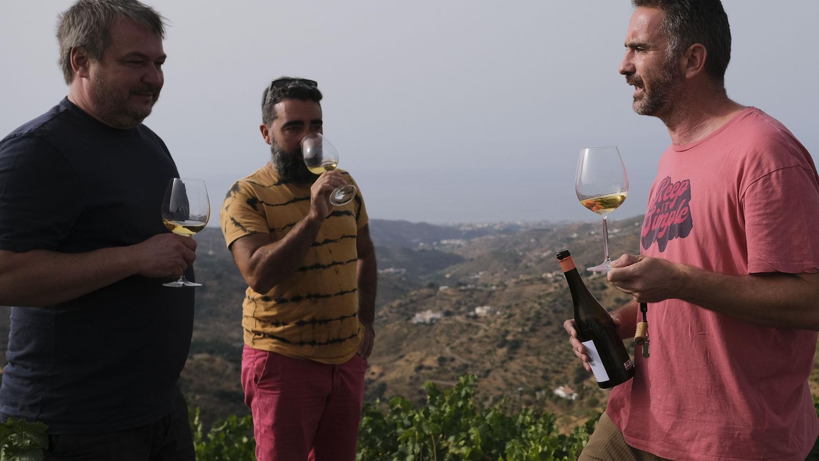 Bodegueros gallegos conocen el proyecto de Viñedos Verticales