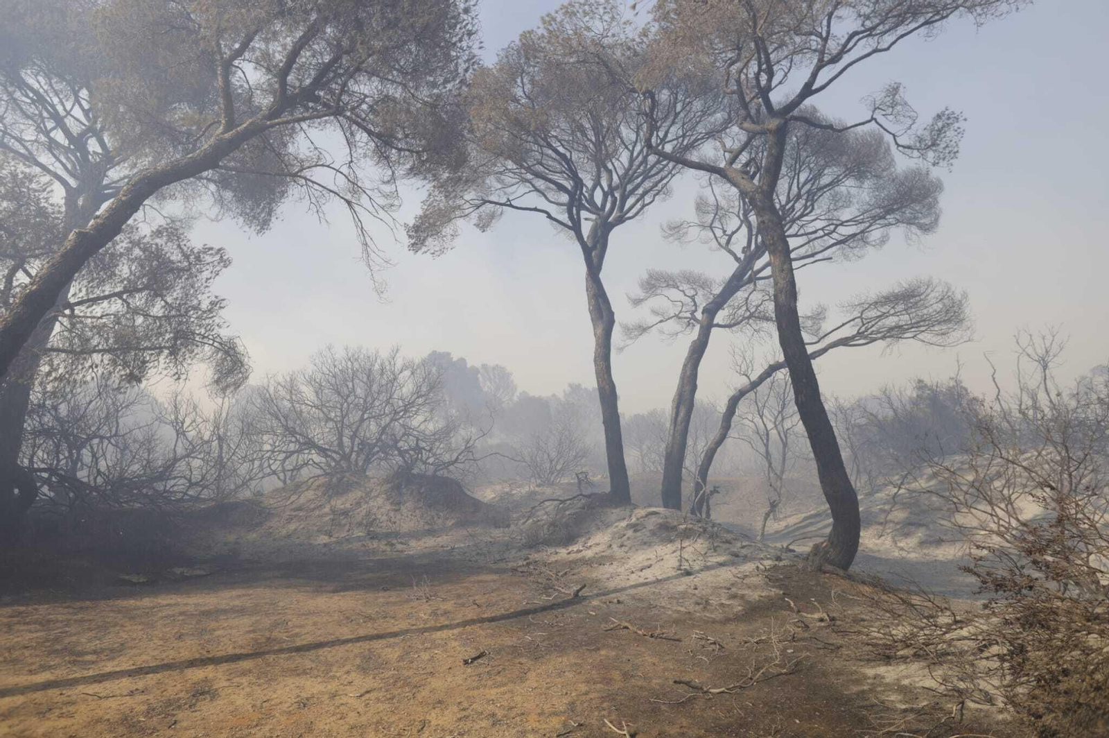 El fuego arrasa Las Canteras en Puerto Real