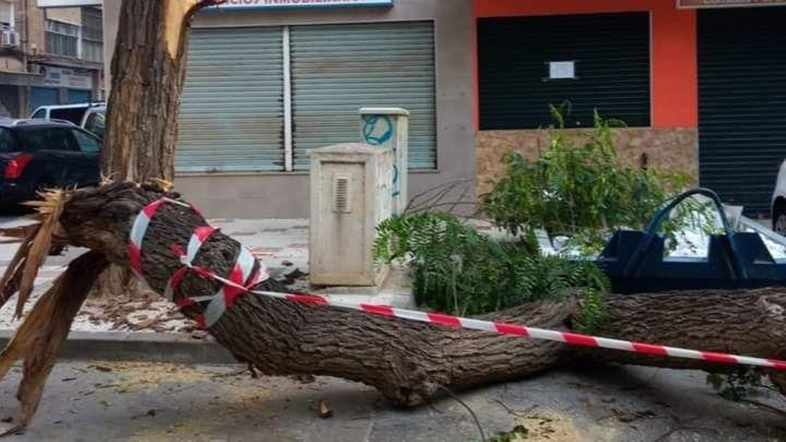 La rama que se ha caído en el barrio de la Luz, en Málaga. La rama que se ha caído en el barrio de la Luz, en Málaga.