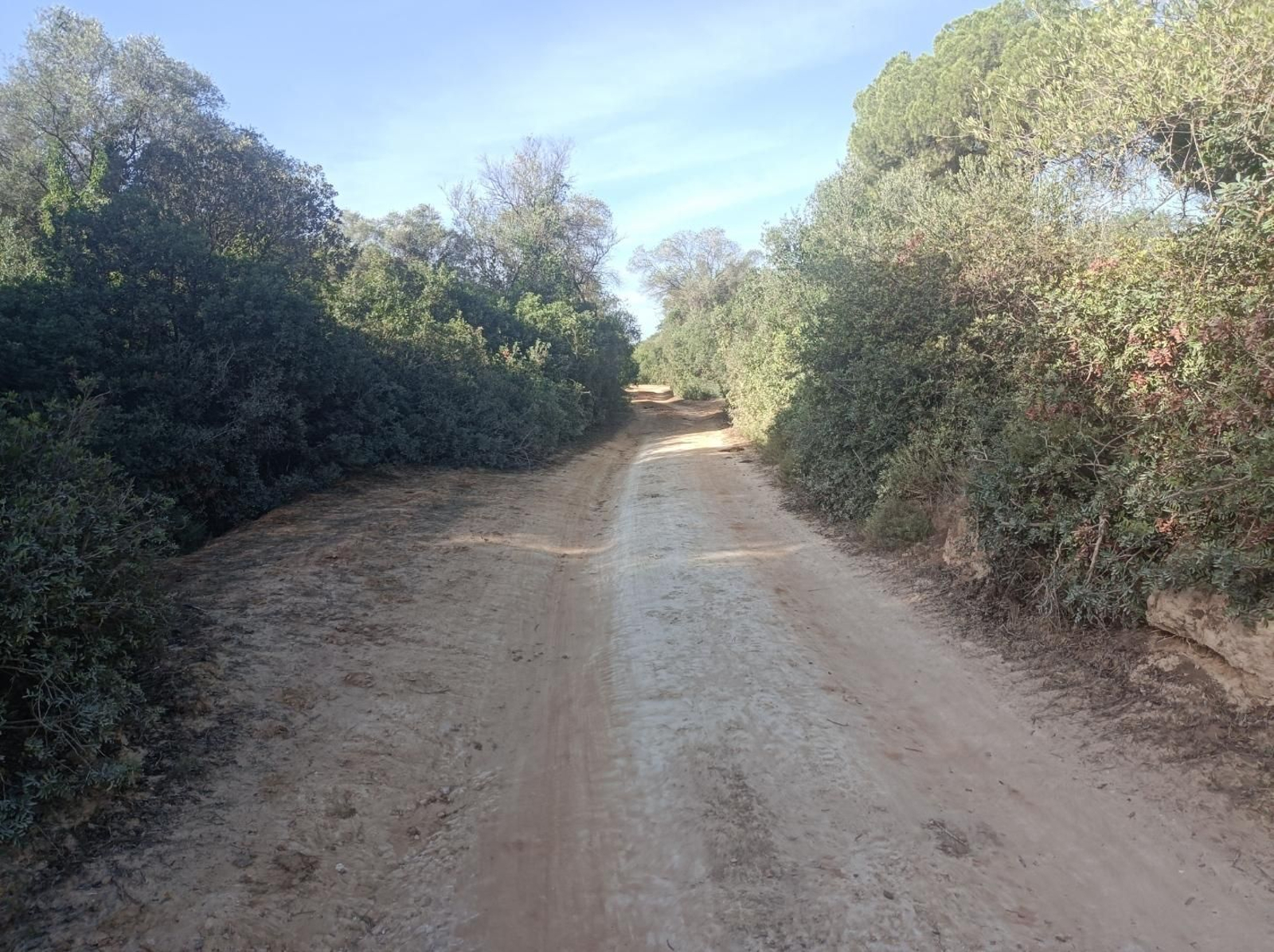 Fotos del Camino de San Diego en Almensilla