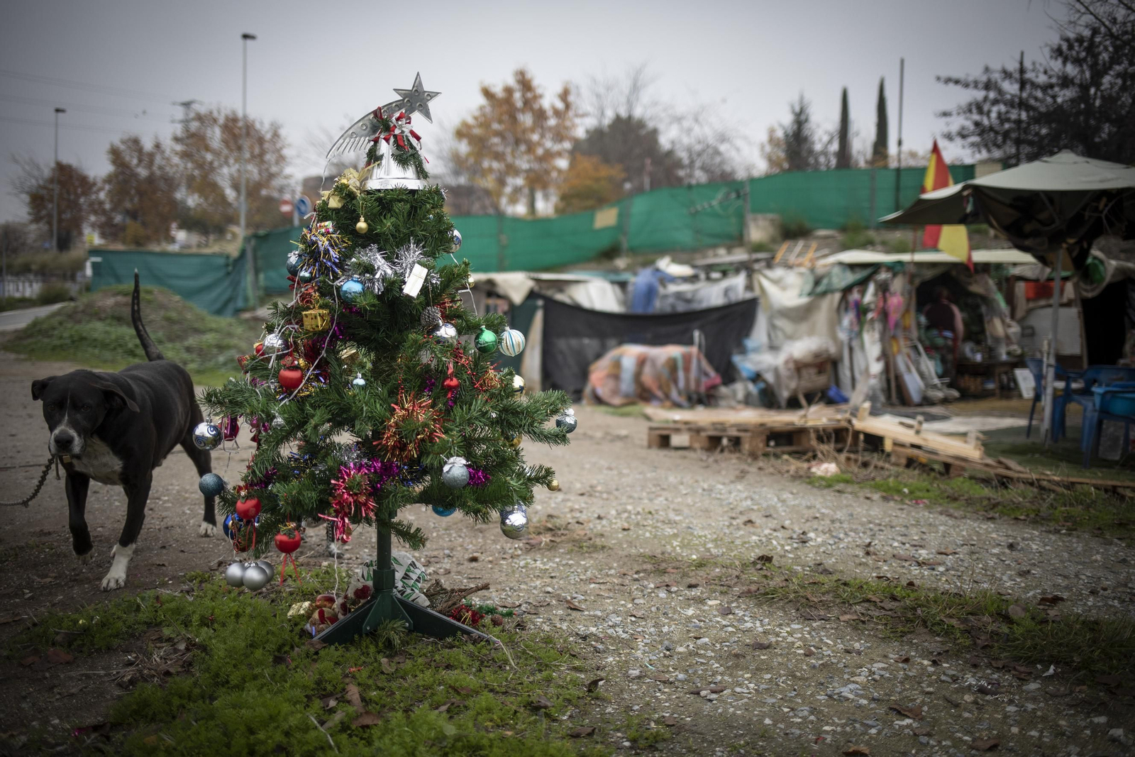 Asentamiento en Villa Pineda.
