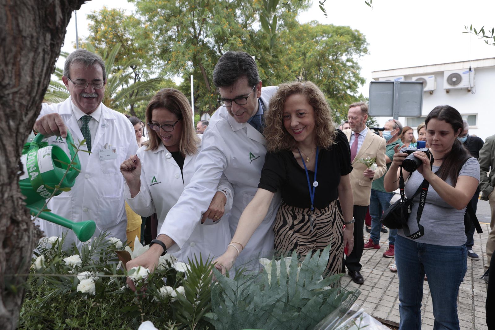 Día Nacional del Donante de órganos