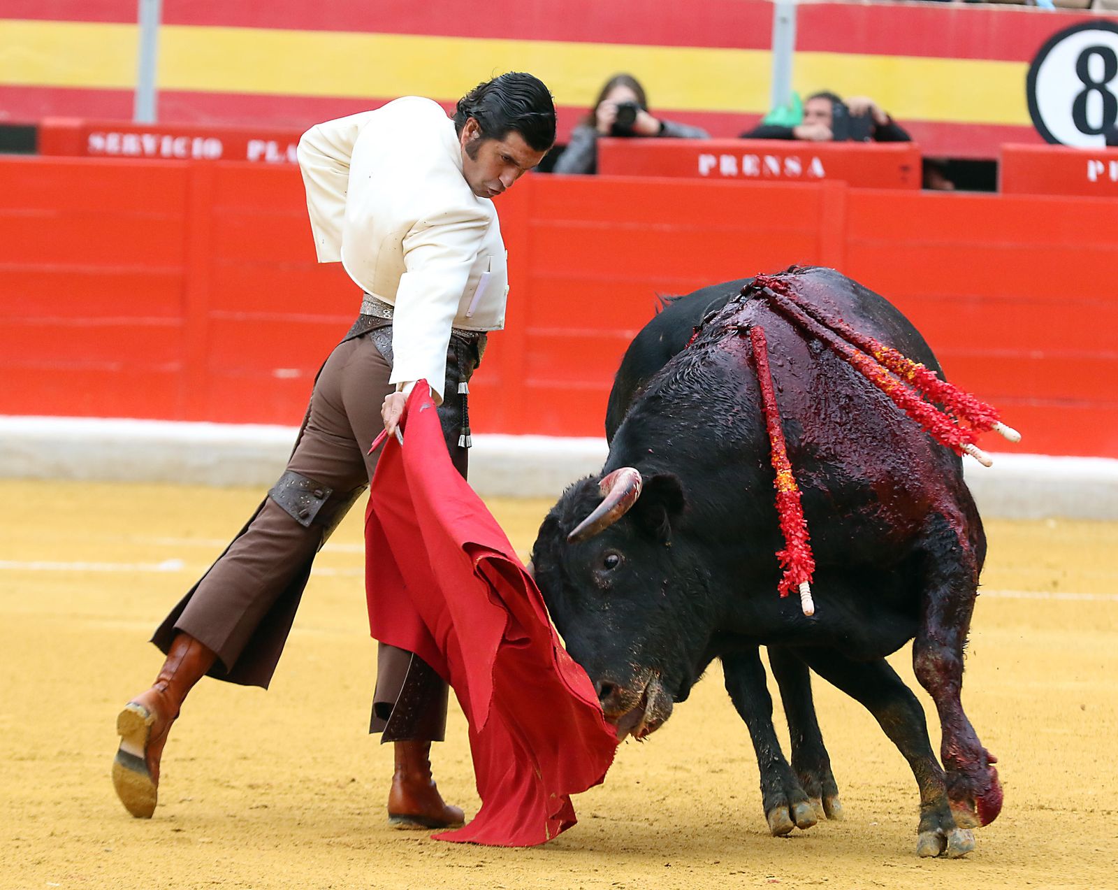 El Festival Taurino Granadown, en imágenes