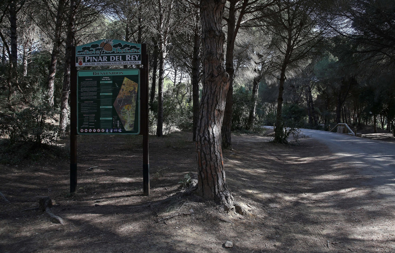 El Pinar del Rey de San Roque, en imágenes