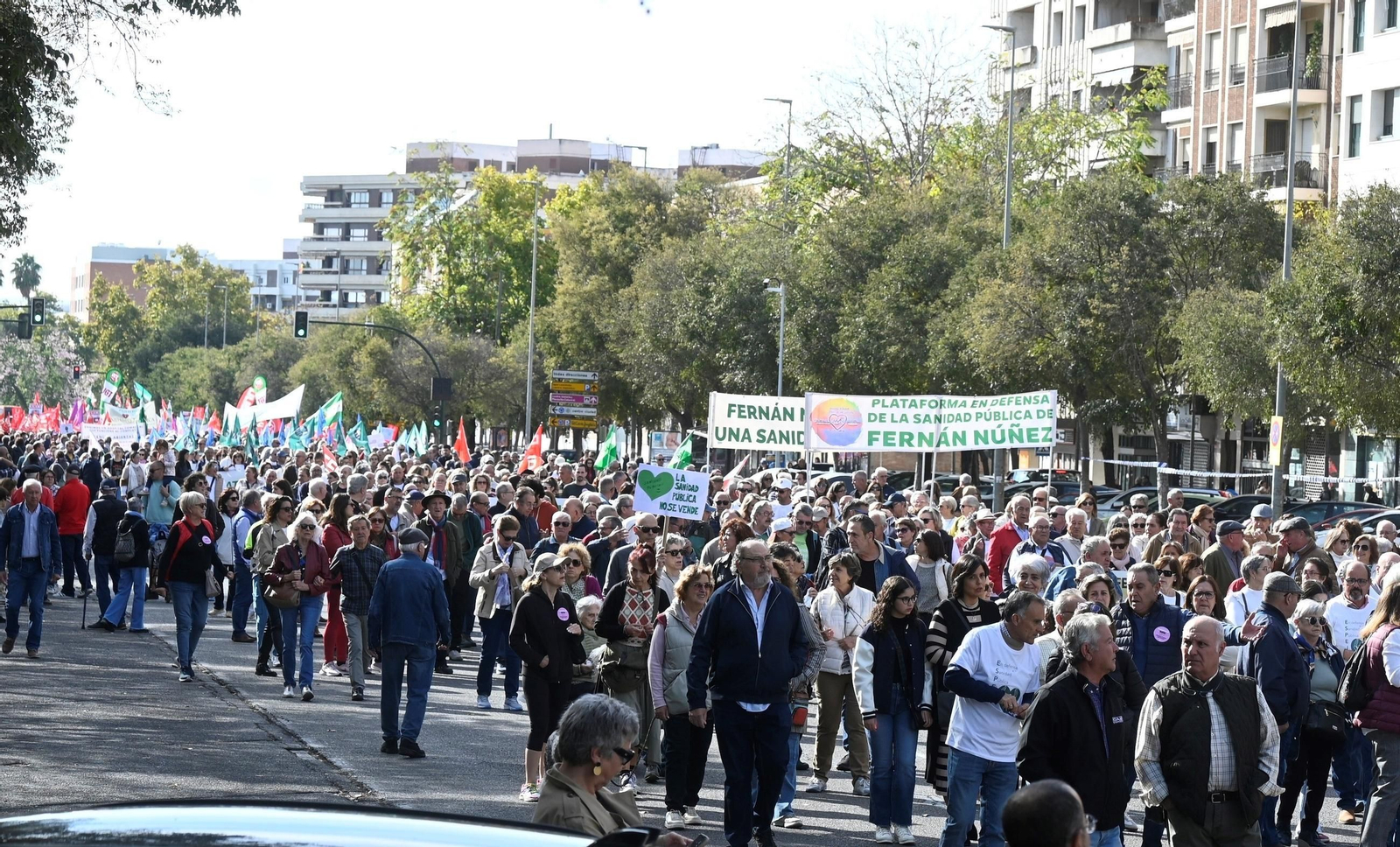 La manifestación en defensa de la sanidad pública en Córdoba