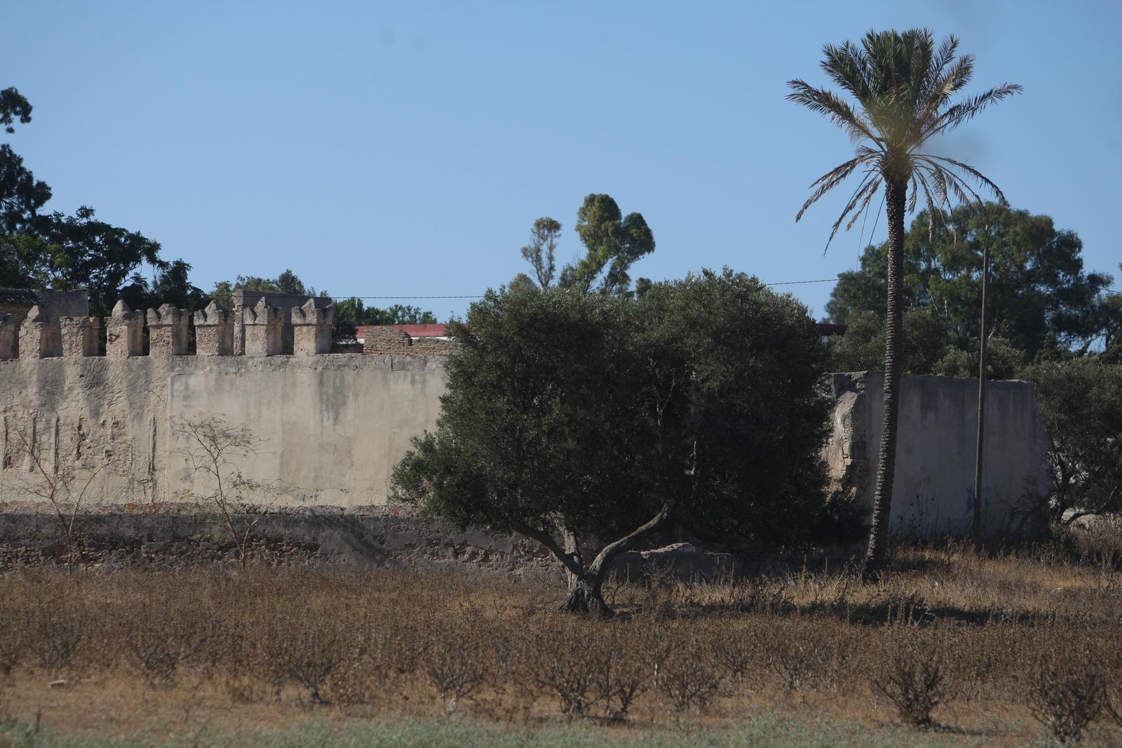 Terrenos de la Huerta de la Compañía en Camposoto, en una imagen de archivo.