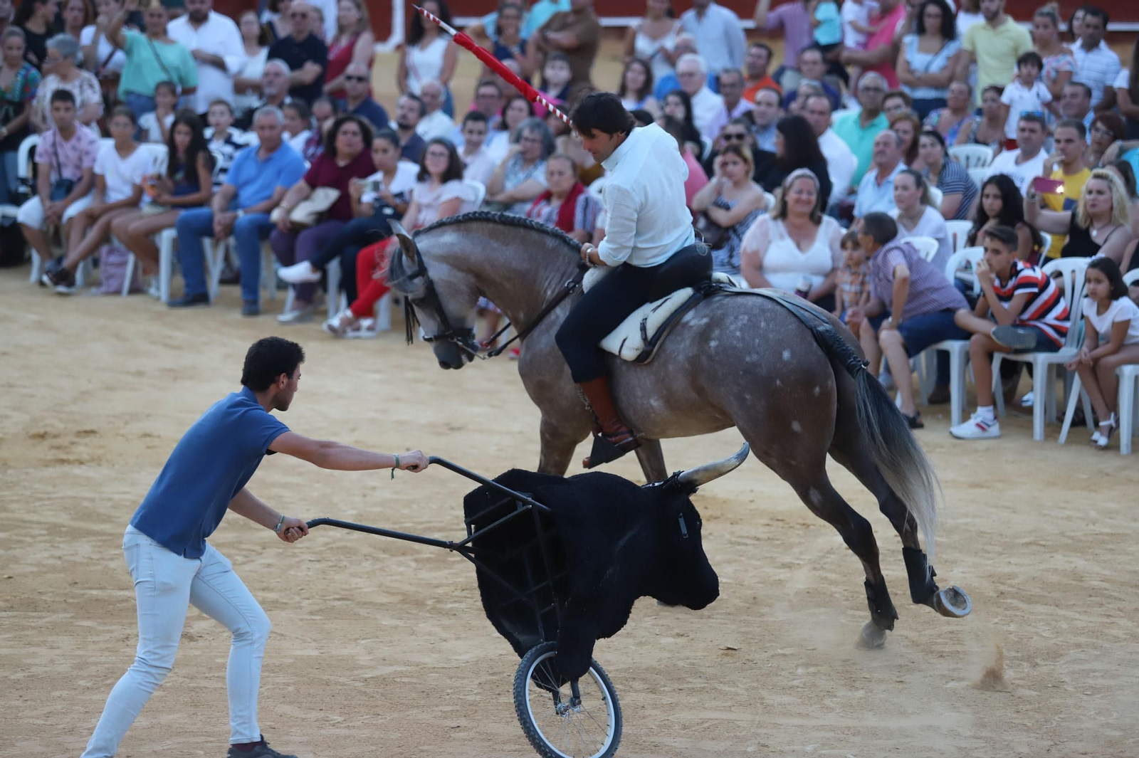 Imágenes de la clase de rejoneo de Andrés Romero en la Plaza de Toros