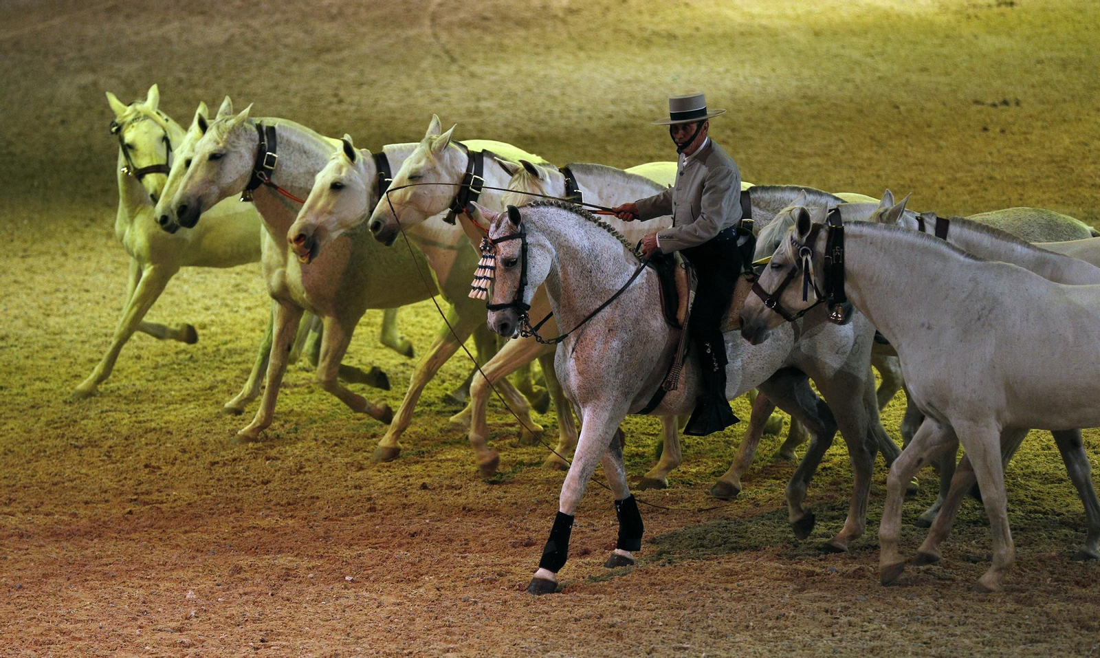 Inauguración de Sicab 2017