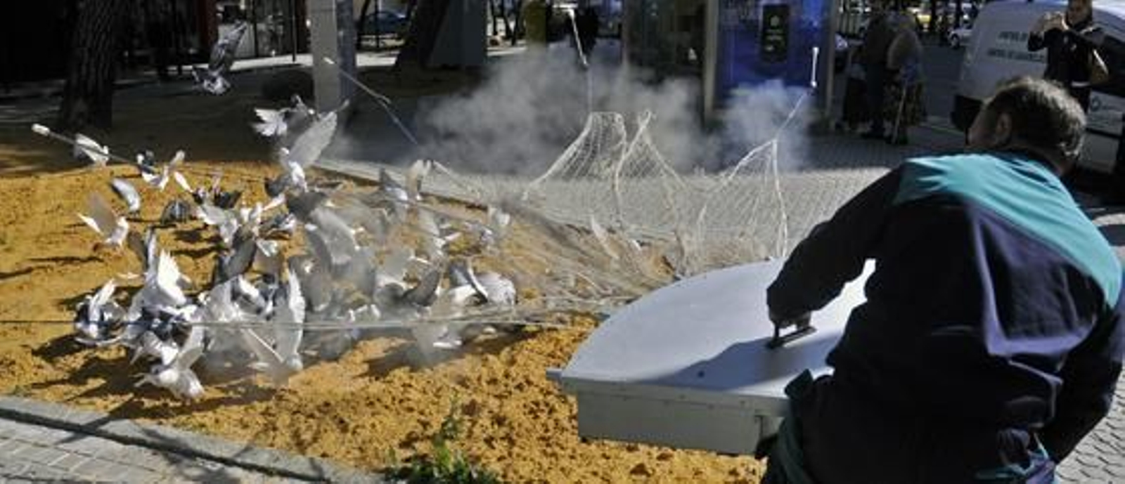 El Ayuntamiento atrapa 500 palomas con el nuevo sistema de cañón de redes.

Foto: Juan Carlos Vázquez