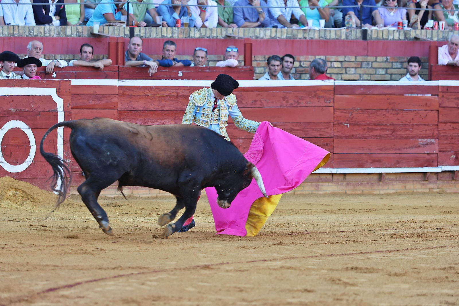 Toros La Merced 2024 Novillada con picadores(