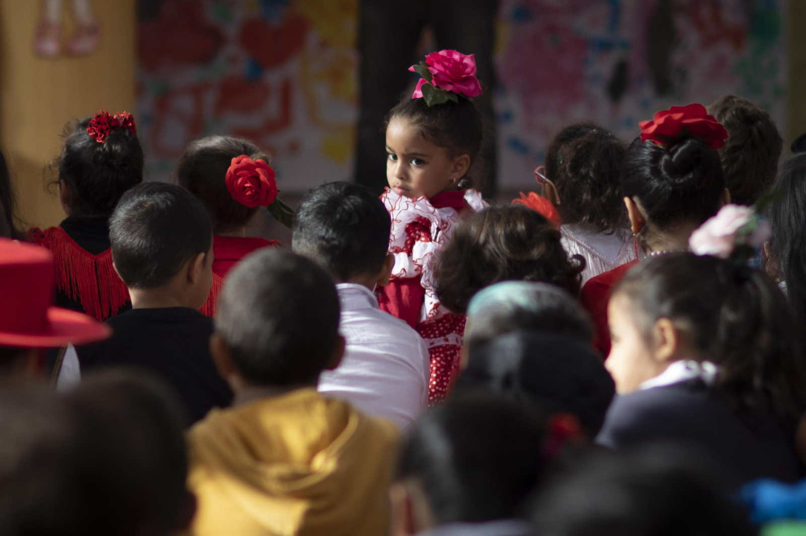 Granada celebra el Día del Flamenco, en imágenes