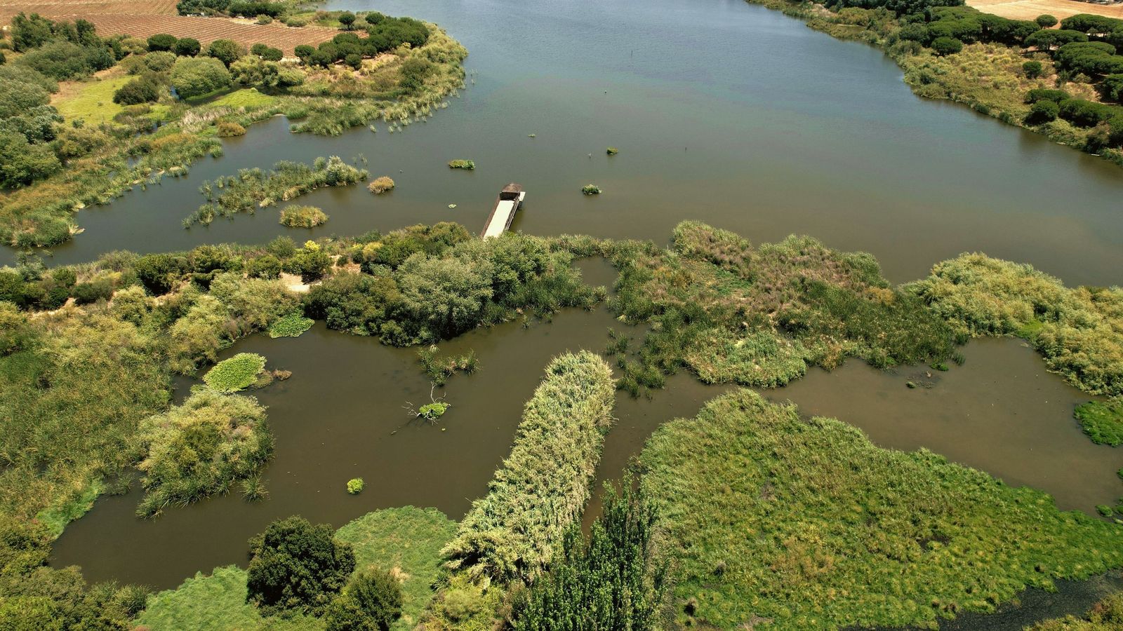 La recuperación de la laguna de Primera de Palos en Huelva, uno de los proyectos más destacados de la fundación.