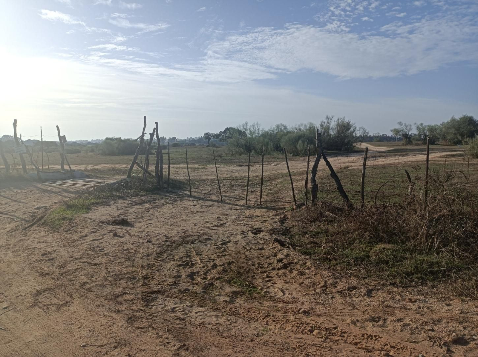 Fotos del Camino de San Diego en Almensilla