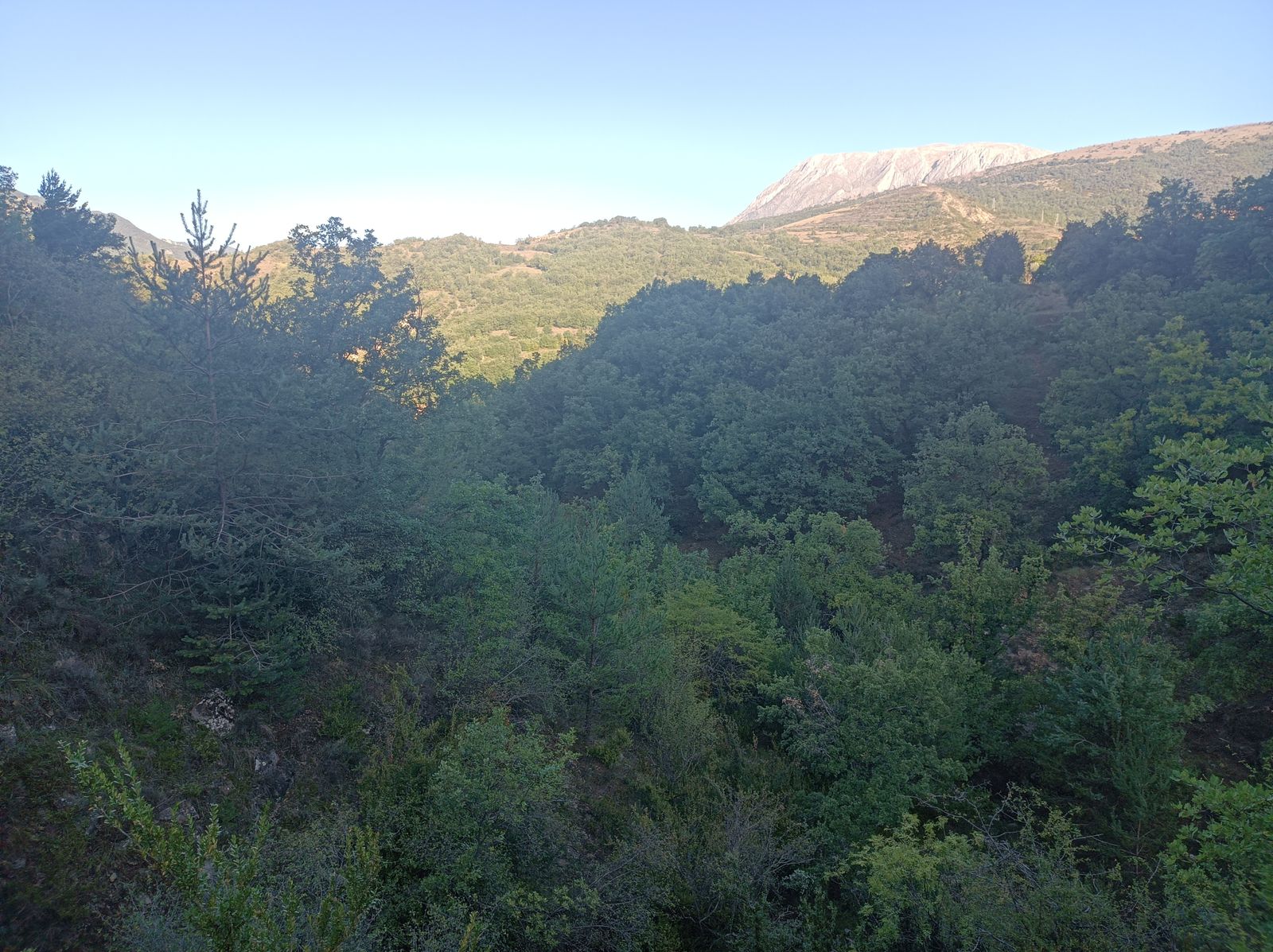 Posteriormente, subimos un cerro próximo.