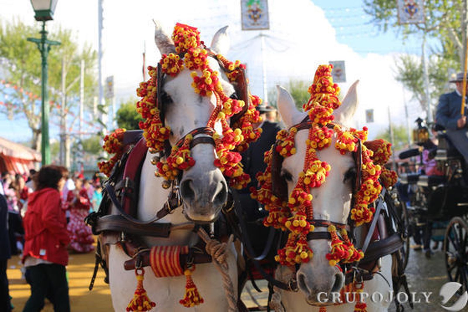 Foto: JC Vazquez/ MJ Lopez/ B.Vargas/ JM Paisano