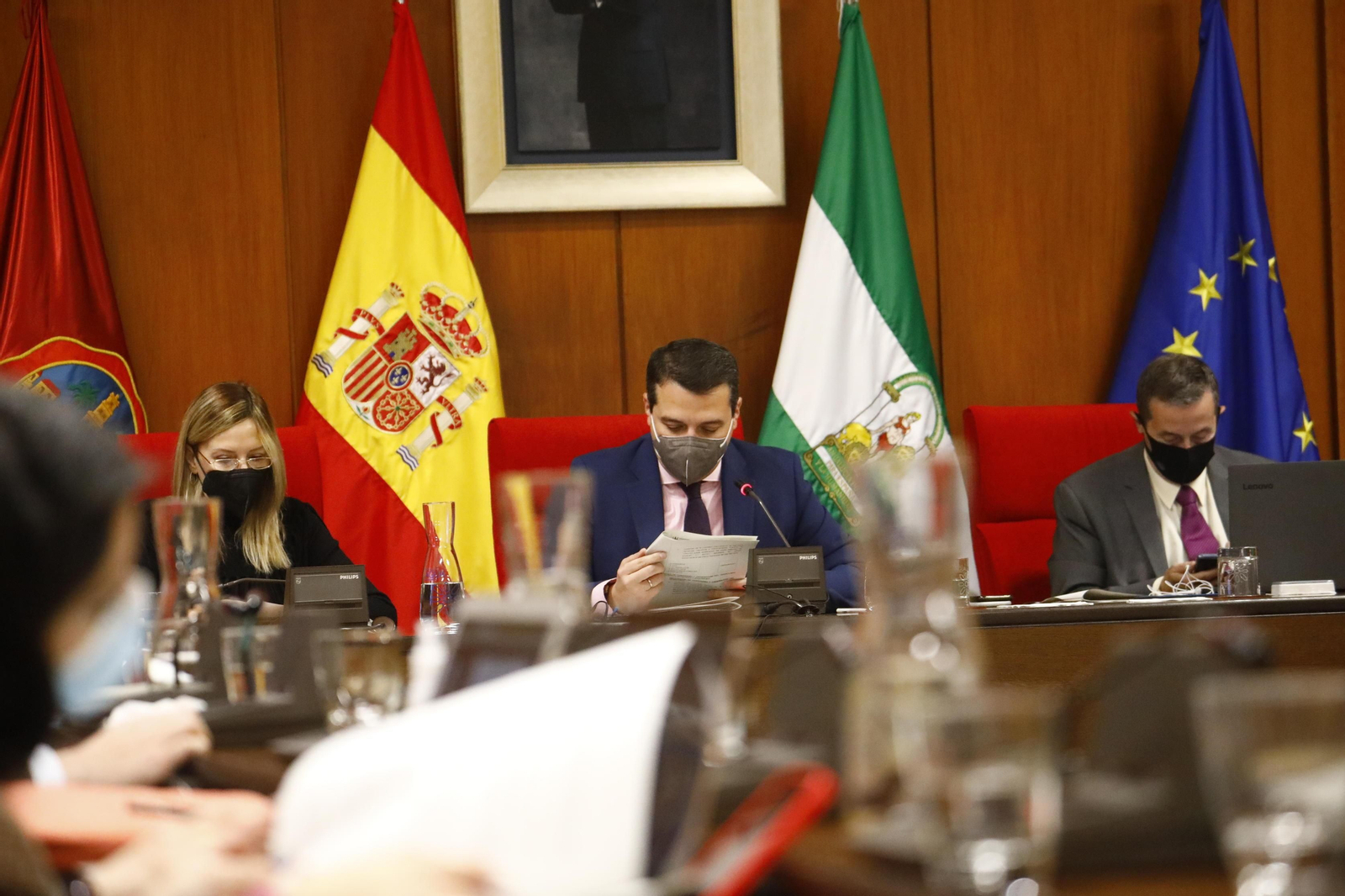 Detalle del Pleno del mes de enero.