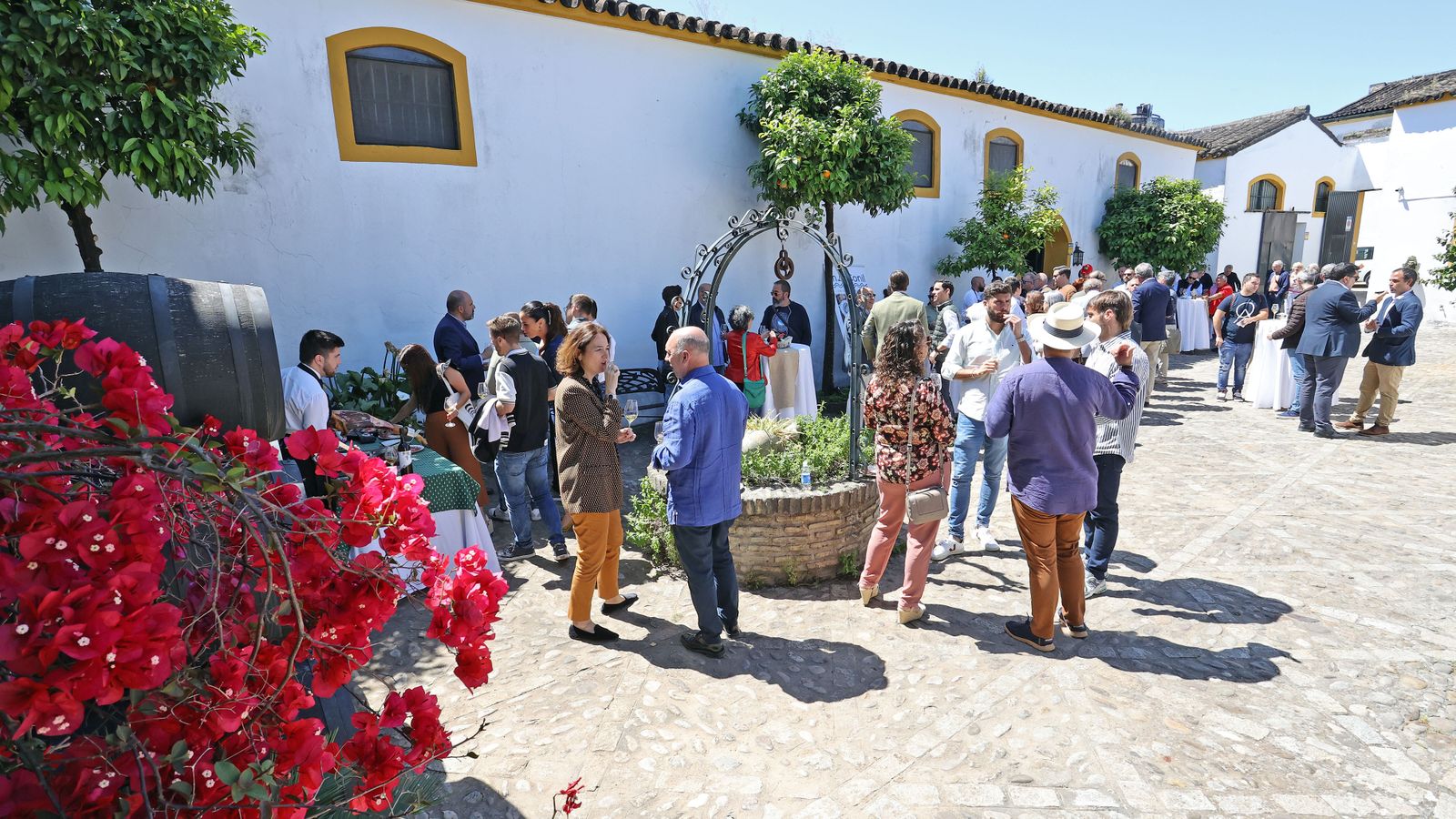 Presentación nueva saca de primavera de Fino en Rama de Fernando de Castilla