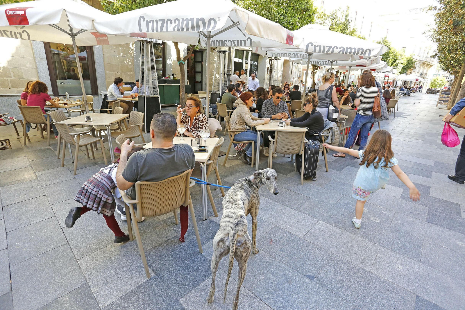Un buen número de veladores en un céntrico bar de Jerez.