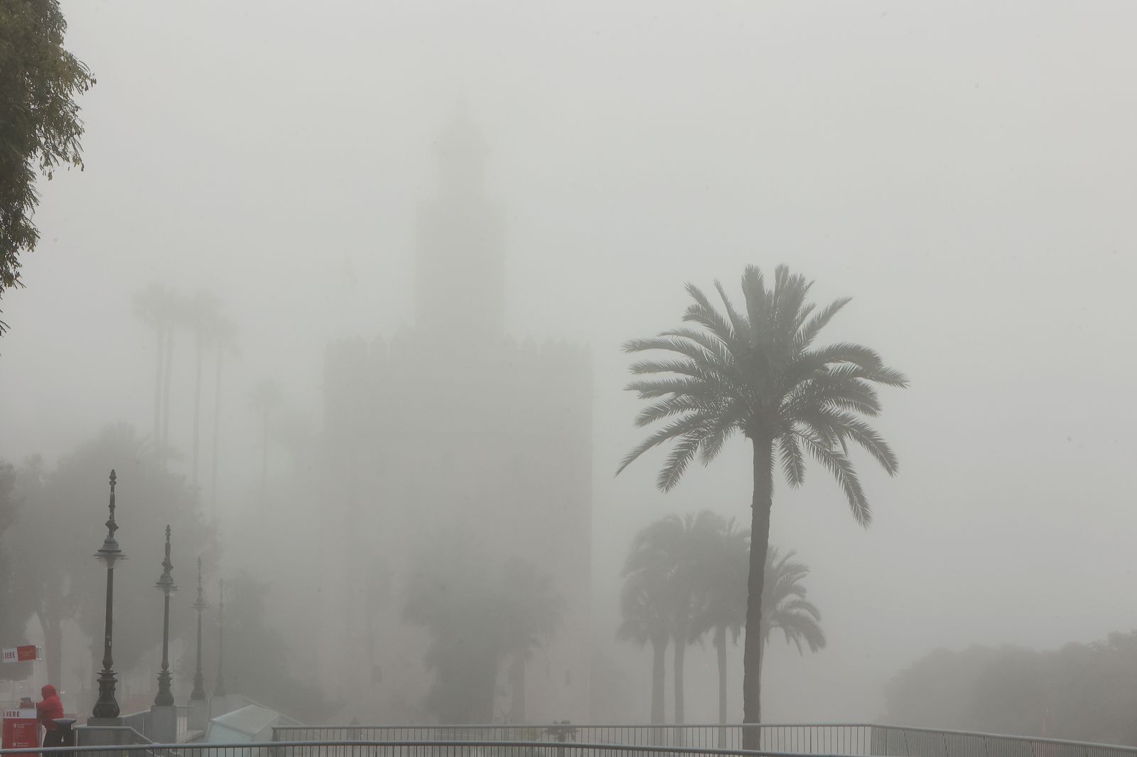 Las mejores imágenes de la niebla que cubría  Sevilla de nuevo