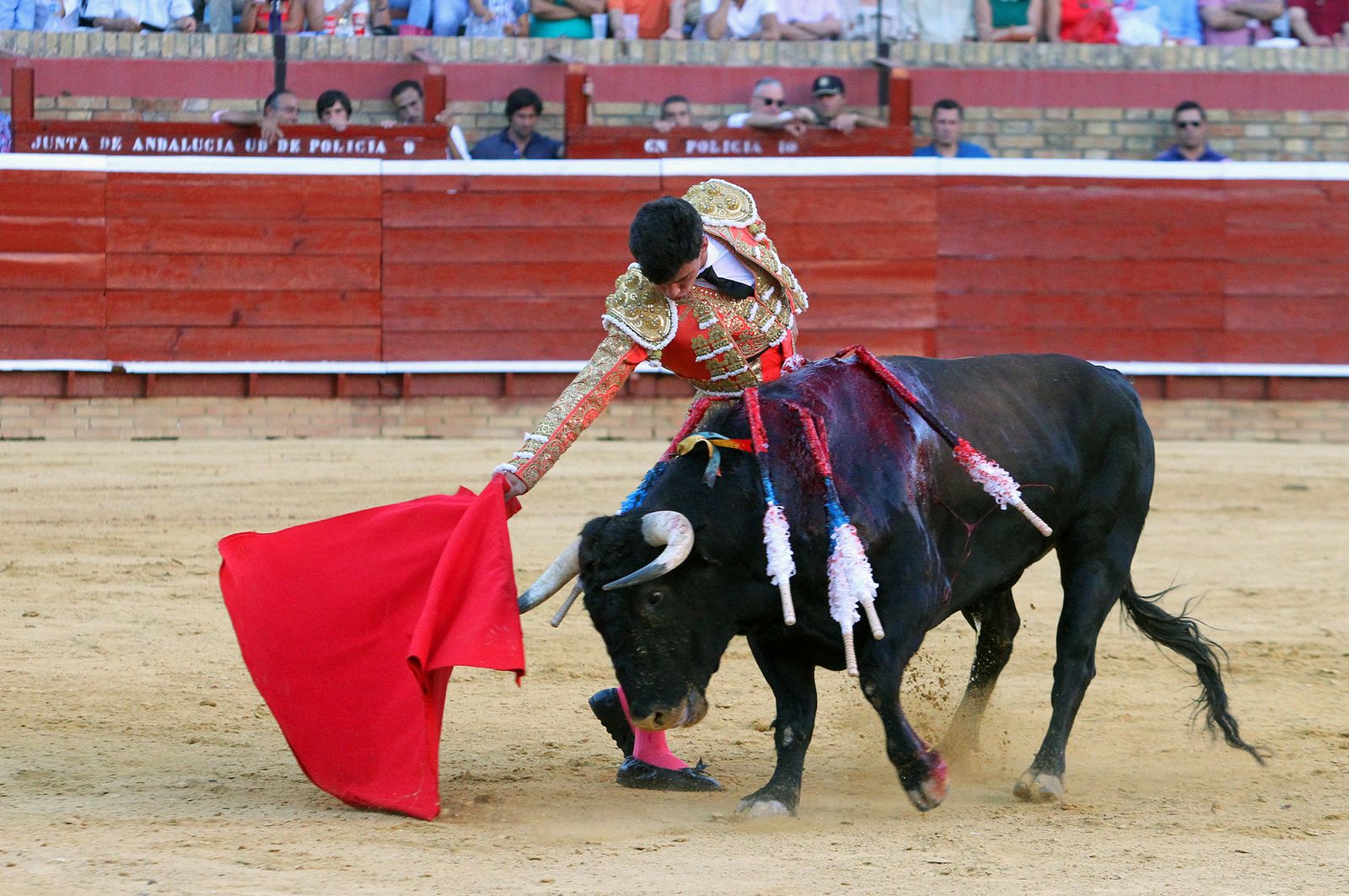 Imágenes de la Novillada de Rafael Serna, Emilio Silvera y Rodrigo Molina.