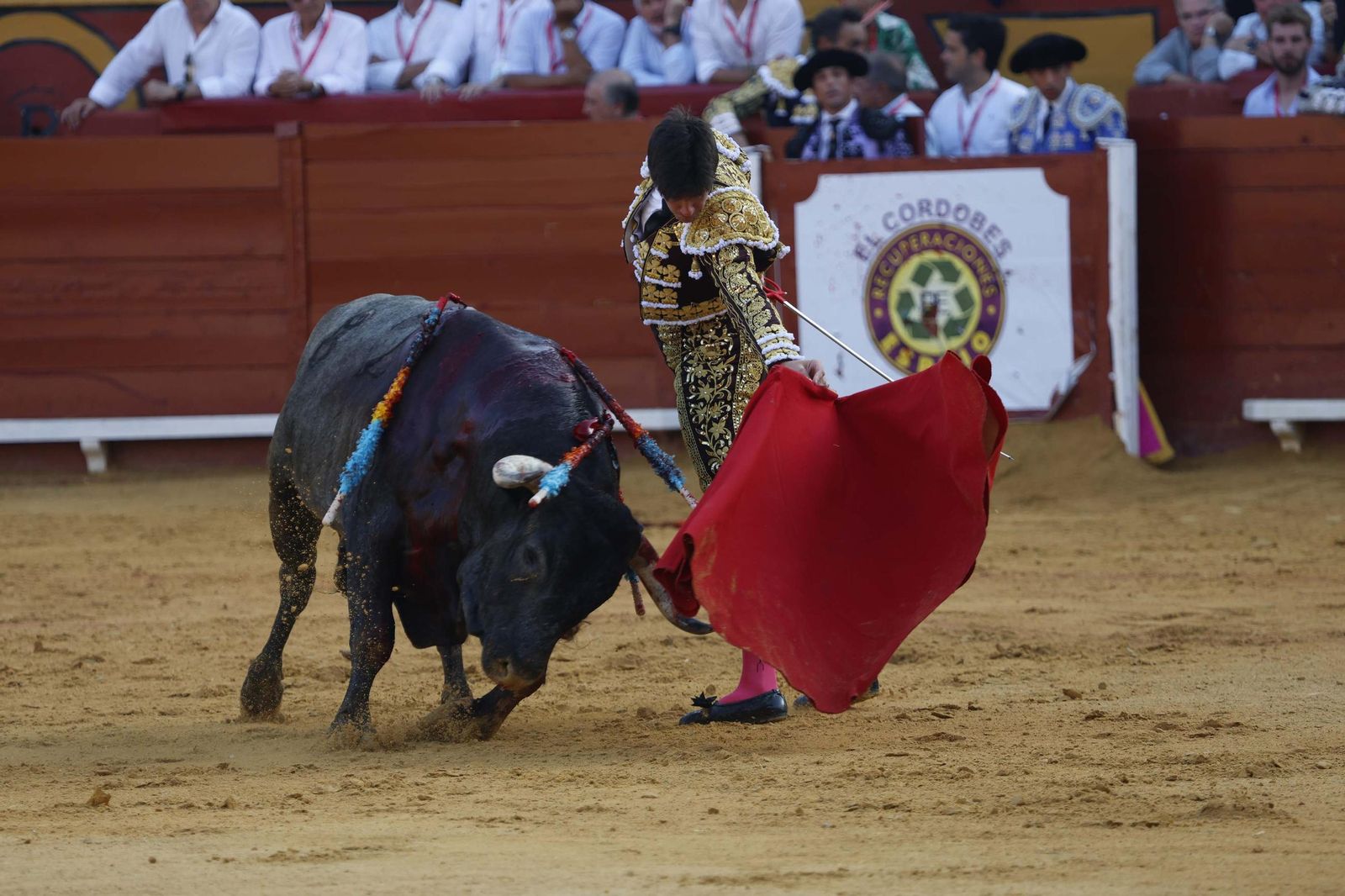 Una decepcionante corrida de Miura con Esaú Fernández a hombros cierra Algeciras