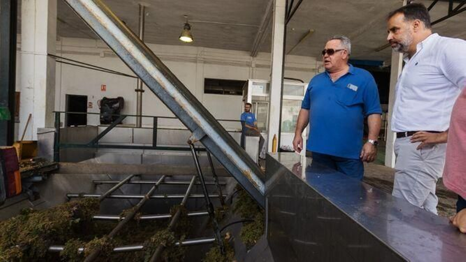 El alcalde de Trebujena durante una visita al lagar de una de las cooperativas la pasada vendimia.