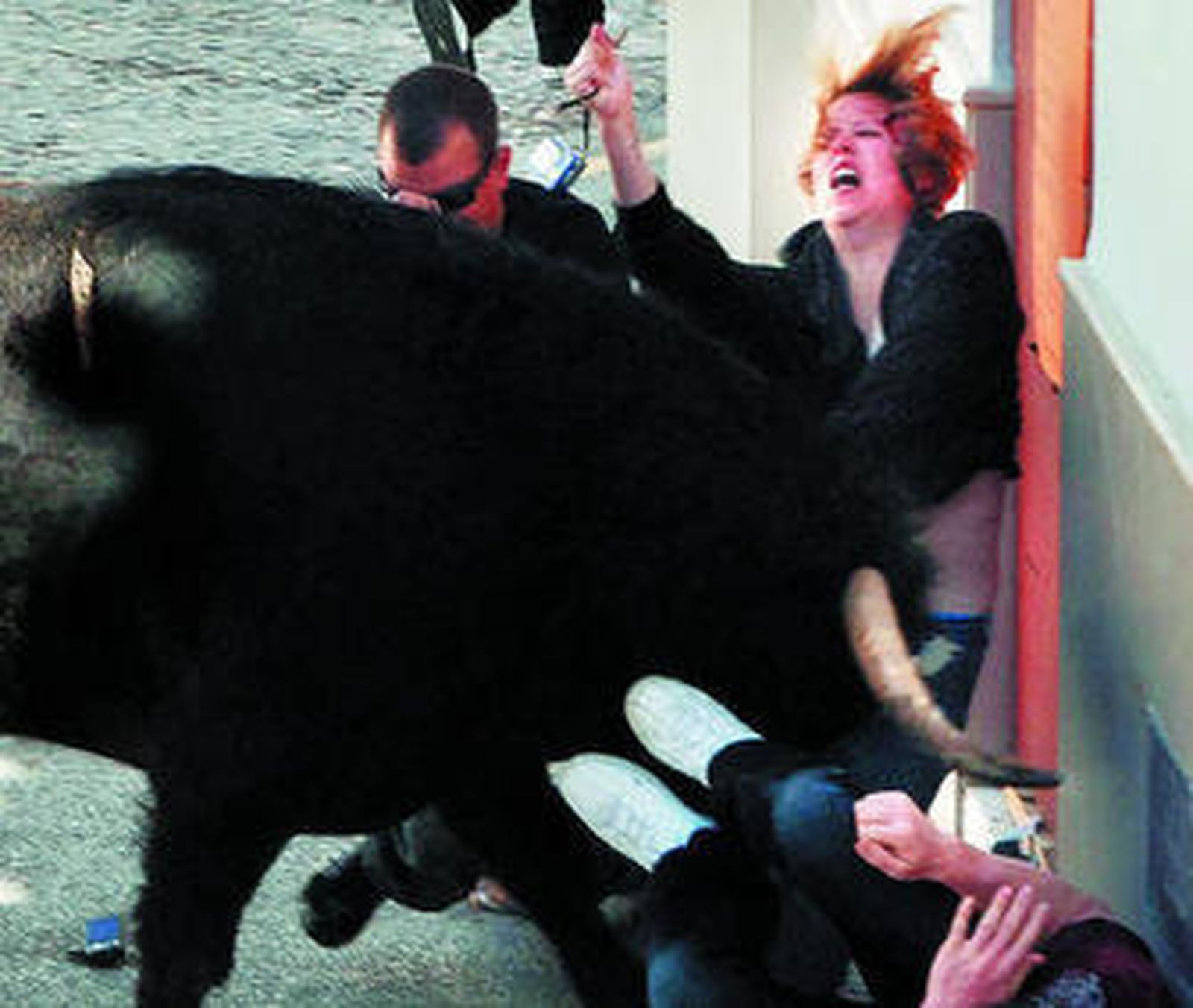 Susto en la suelta del toro del Aleluya en Arcos