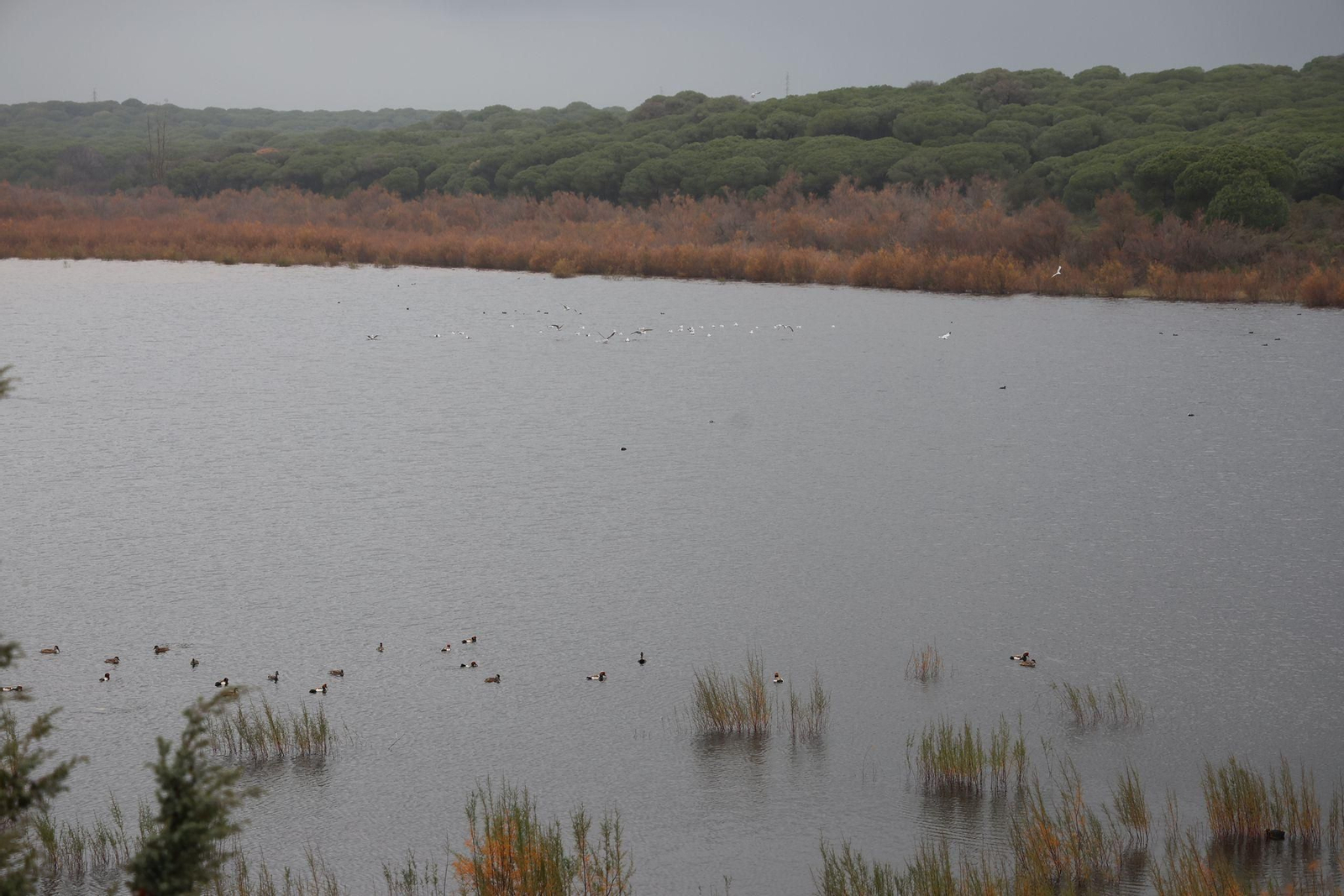 Escenarios de la provincia de Huelva en el segundo día de la borrasca Garoé Escenarios de la provincia de Huelva en el segundo día de la borrasca Garoé
