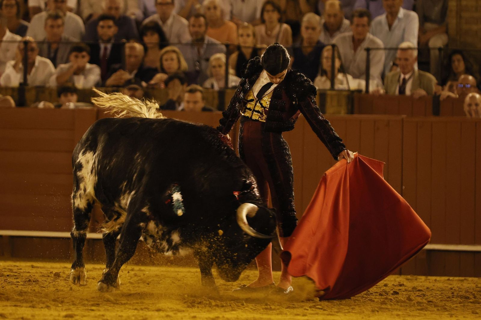 Las imágenes del primer festejo de San Miguel