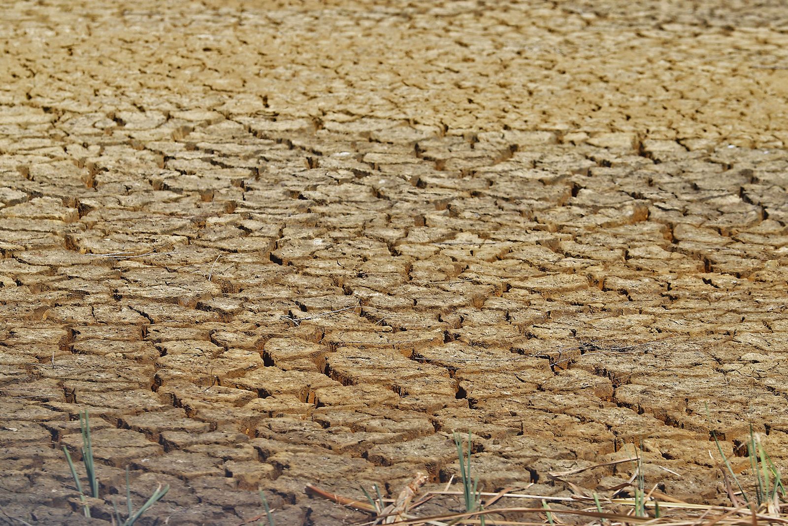 Las imágenes más destacadas del domingo 10 de septiembre en Huelva