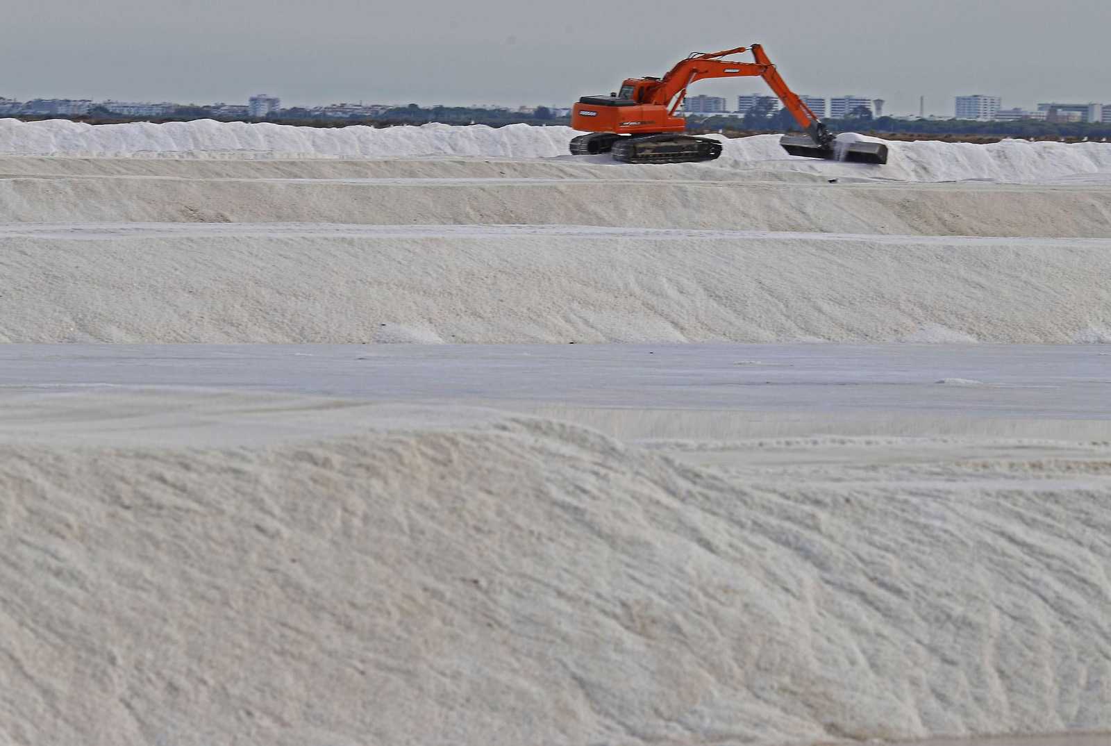 Paraje natural Marismas del Odiel, paraíso de Huelva entre salinas
