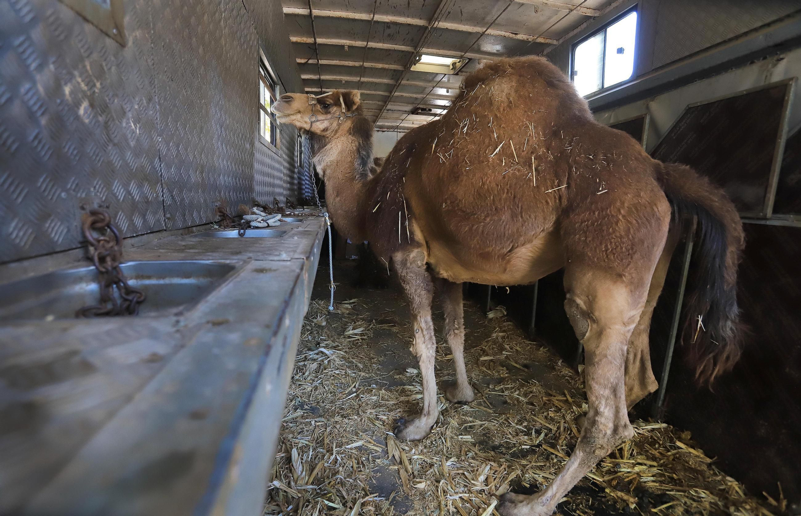 Último día de rodaje en Jerez de la serie Young Holmes