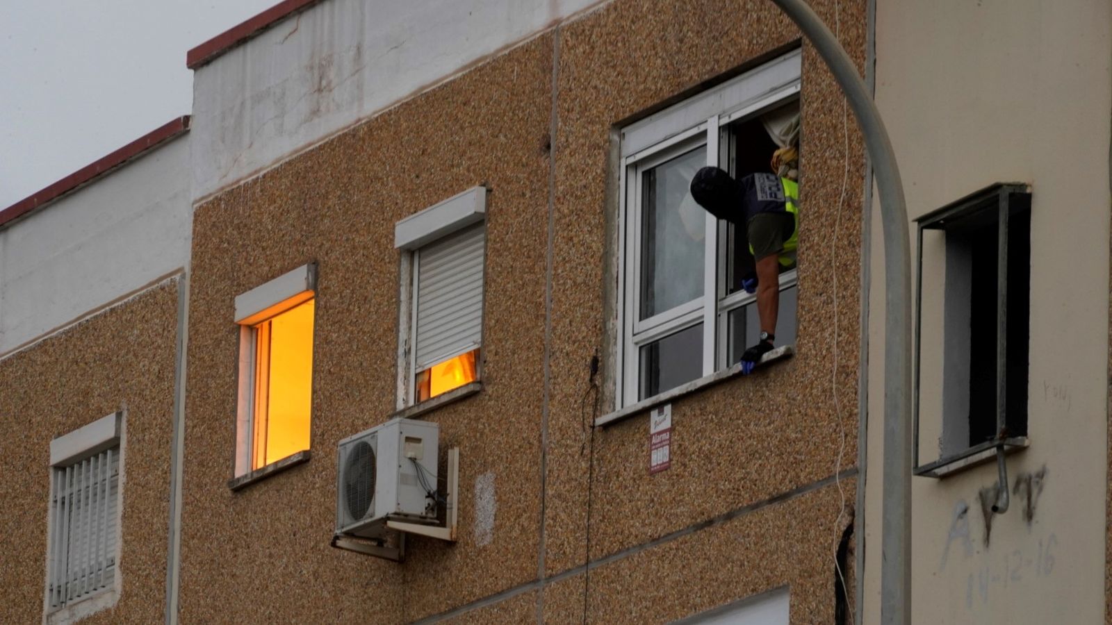 Una plantación de marihuana en una vivienda de El Torrejón durante una de las operaciones policiales del último mes.