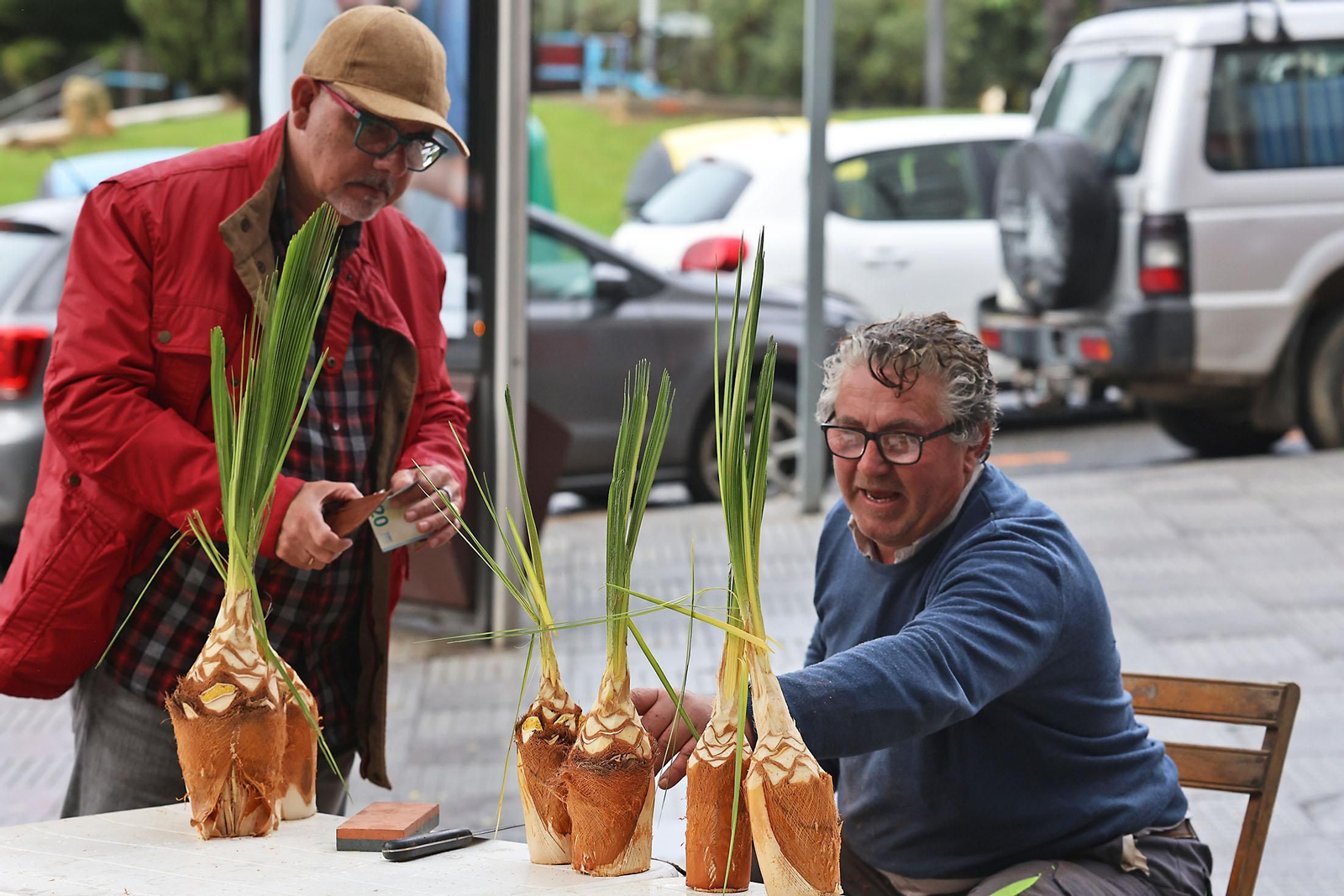 Palmitos en Huelva por San Sebastián
